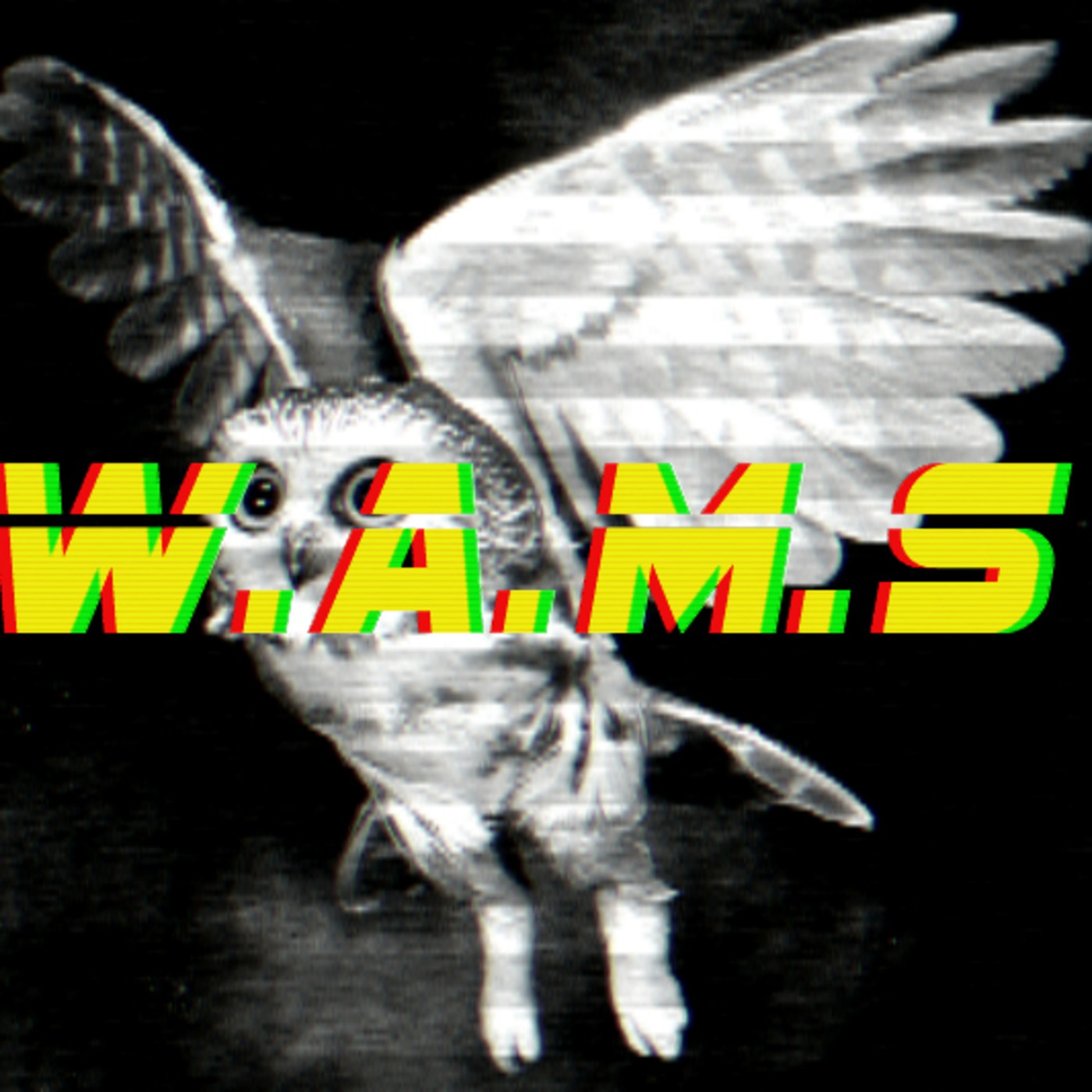Episode 10: WAMS W4 Dubstep...