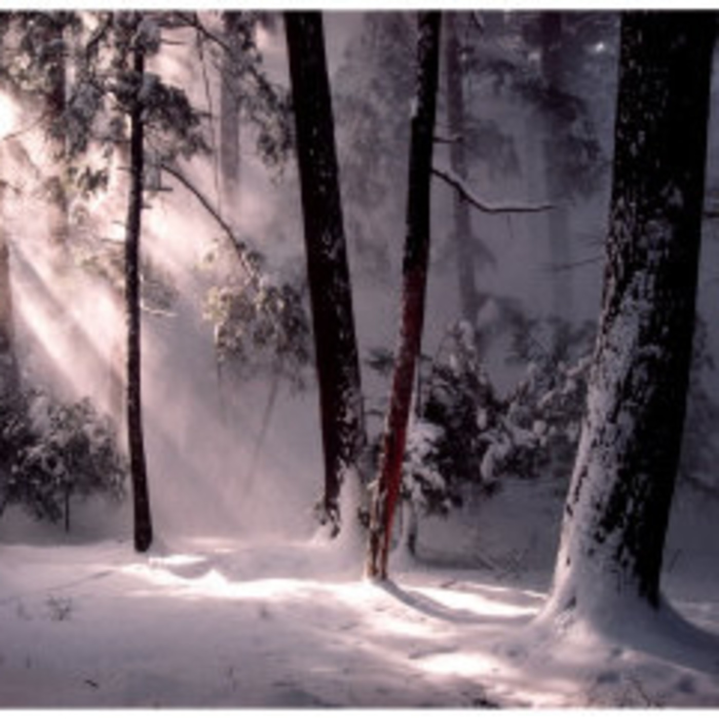 Justin Beatz - Winter Ends Today Episode 5 episode artwork
