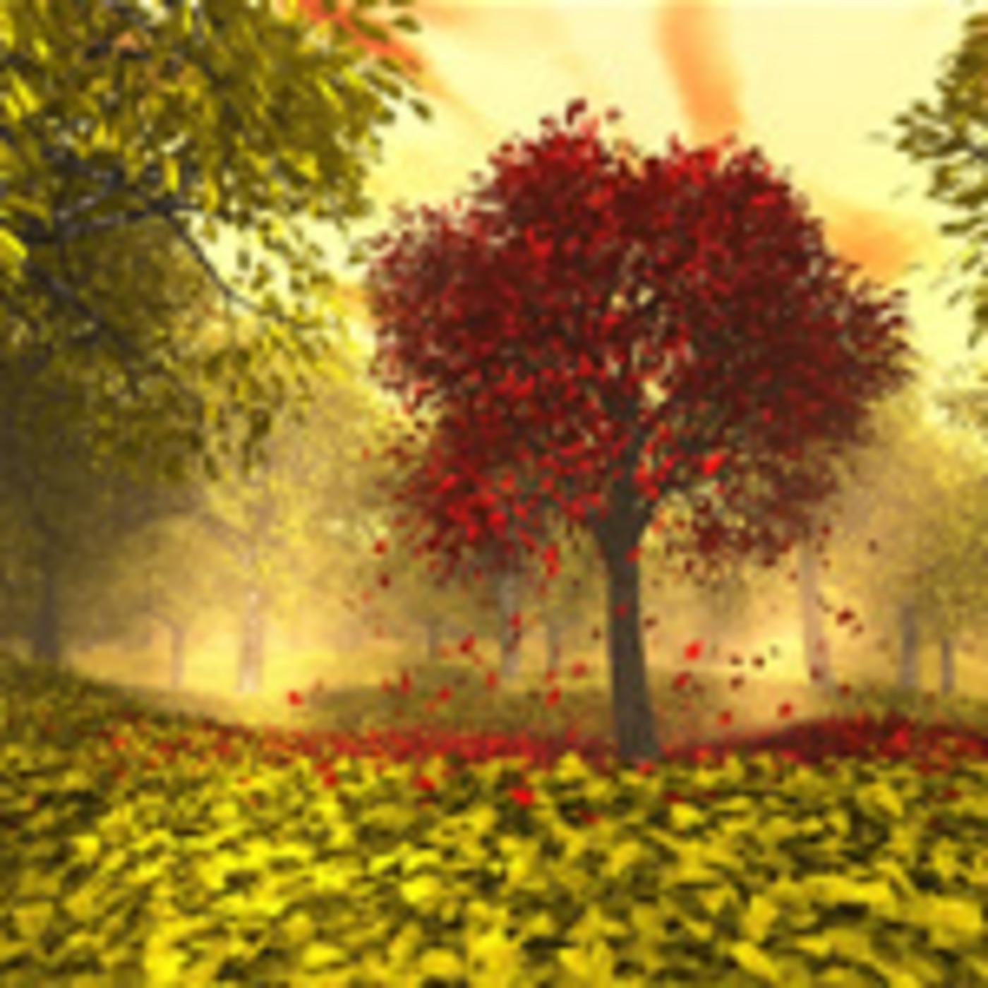 Autumn ends. When the best book ends. Autumn ends. осень 16к. золотая осень.