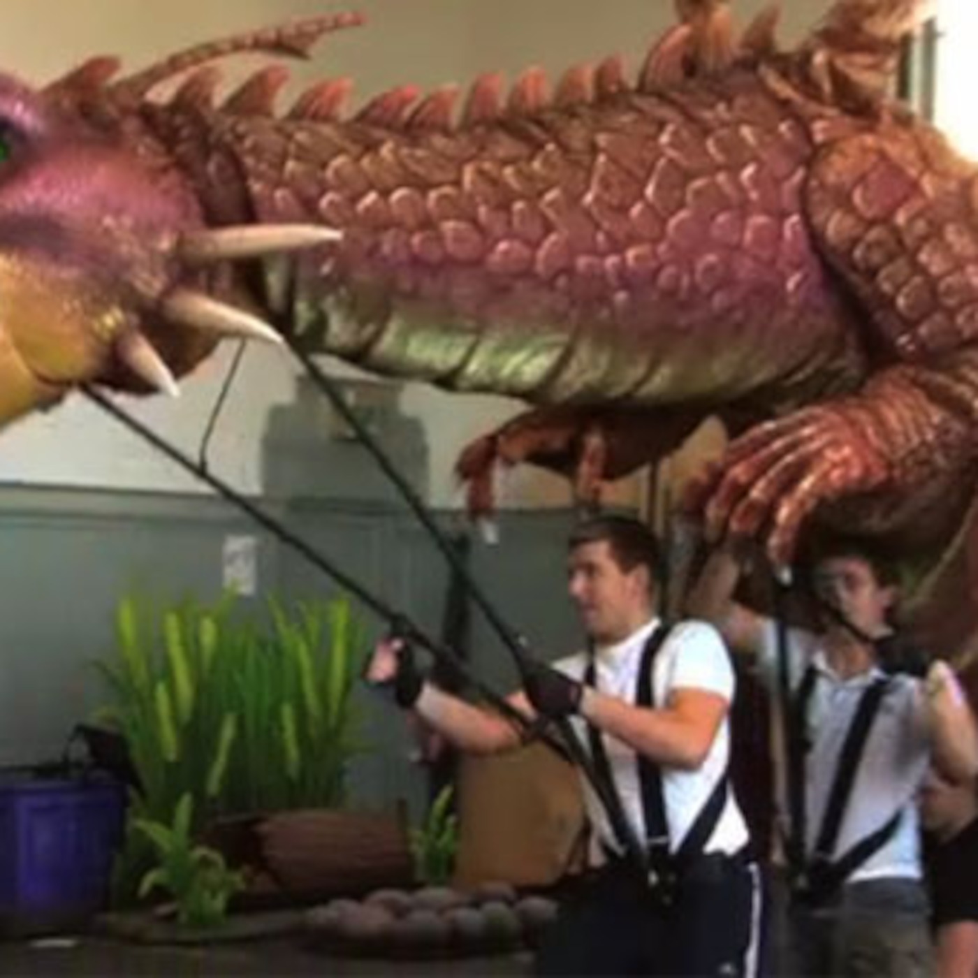 Inside The Swamp : Meet Our Dragon!