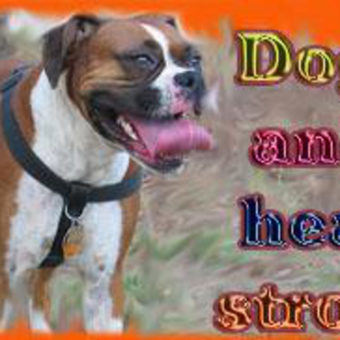 Dogs and Heat Stroke