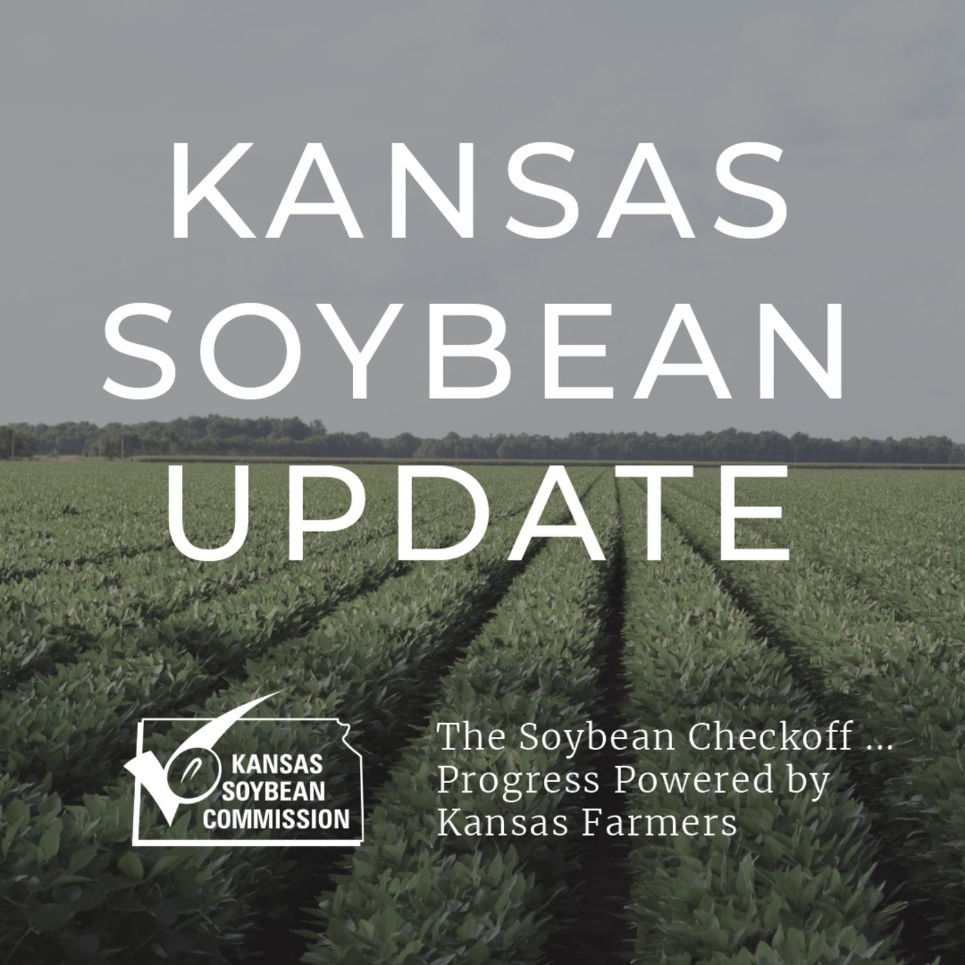 Kansas Soybean Yield and Value Contest 2020
