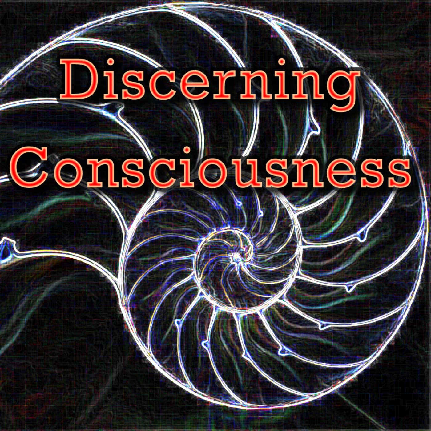 Discerning Consciousness' Podcast
