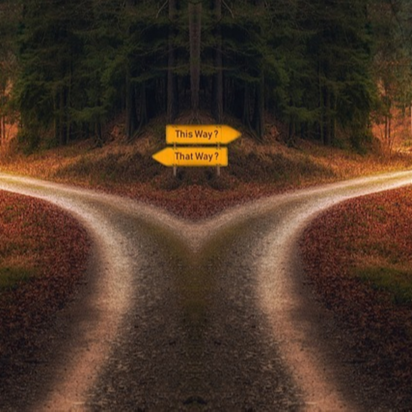 Episode 198: Episode 152 - 'The Choice Point' - Humanity At The Crossroads episode artwork