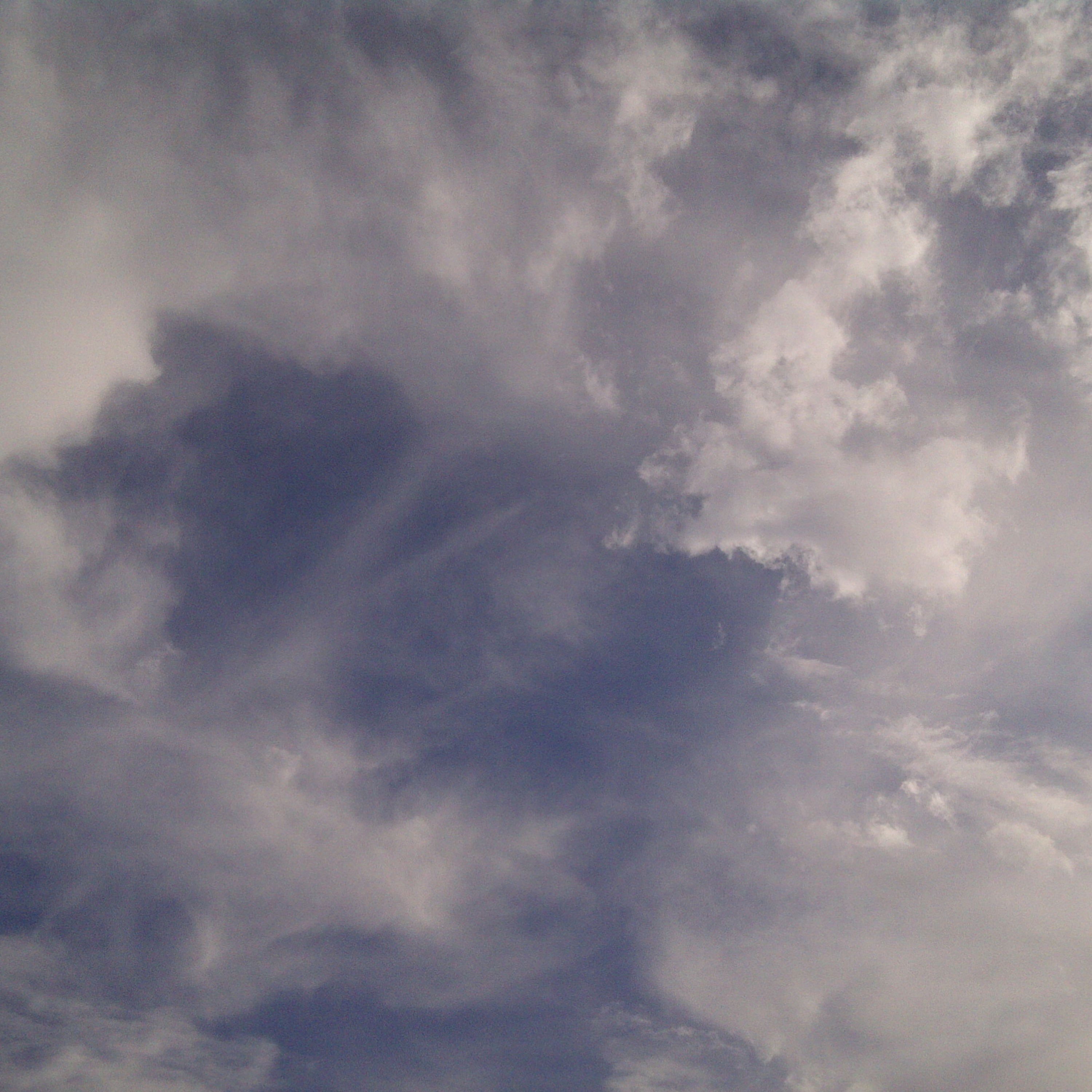 Marcelo Rosselot's Podcast