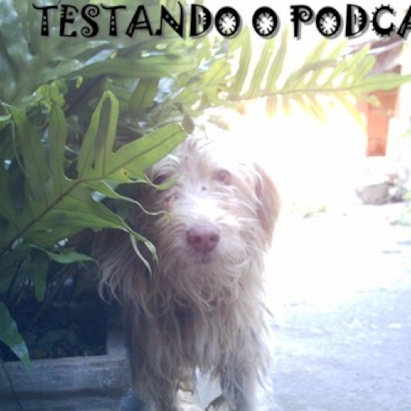 I EPISÓDIO - 1...2...3...4...5 Testando.... Som! I EPISÓDIO - 1...2...3...4...5 Testando.... Som!