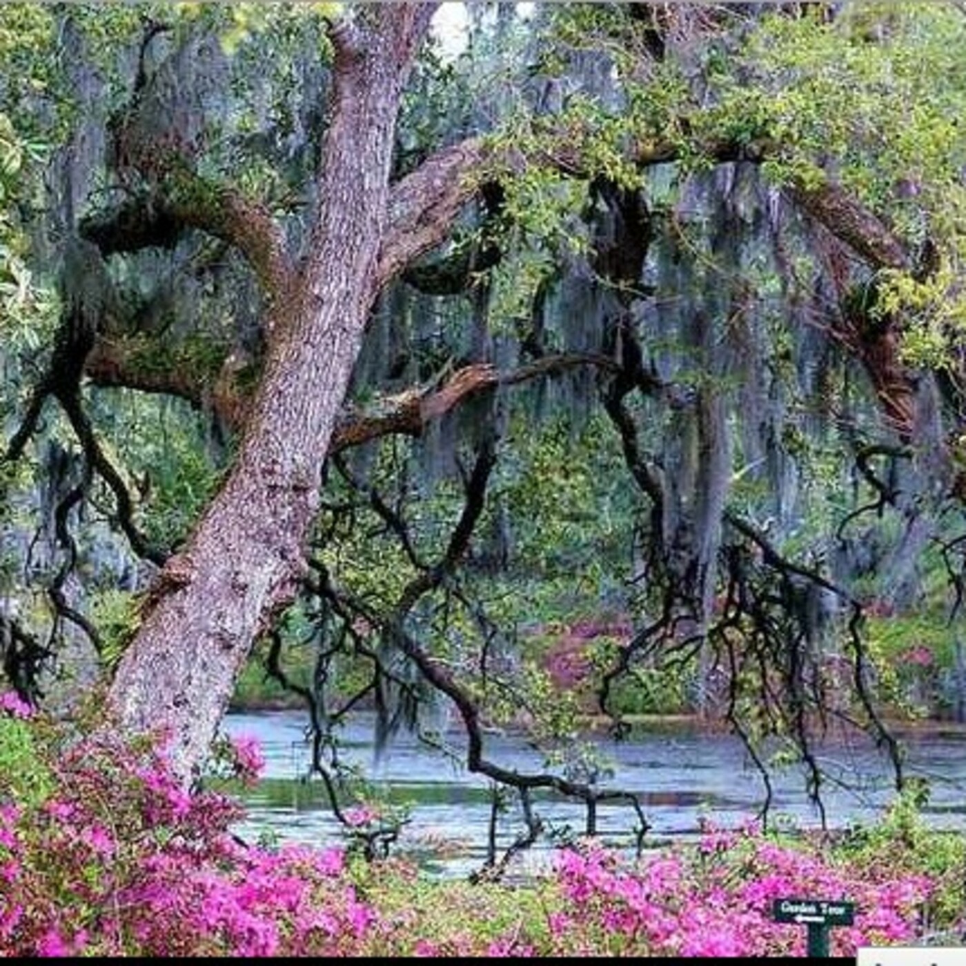 David Moran\'s Amen Corner Radio Program