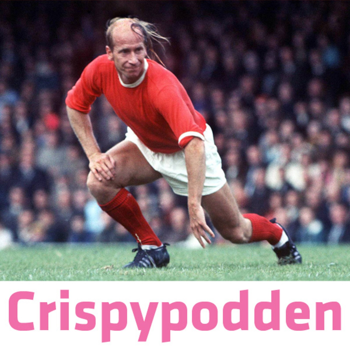 Crispypodden
