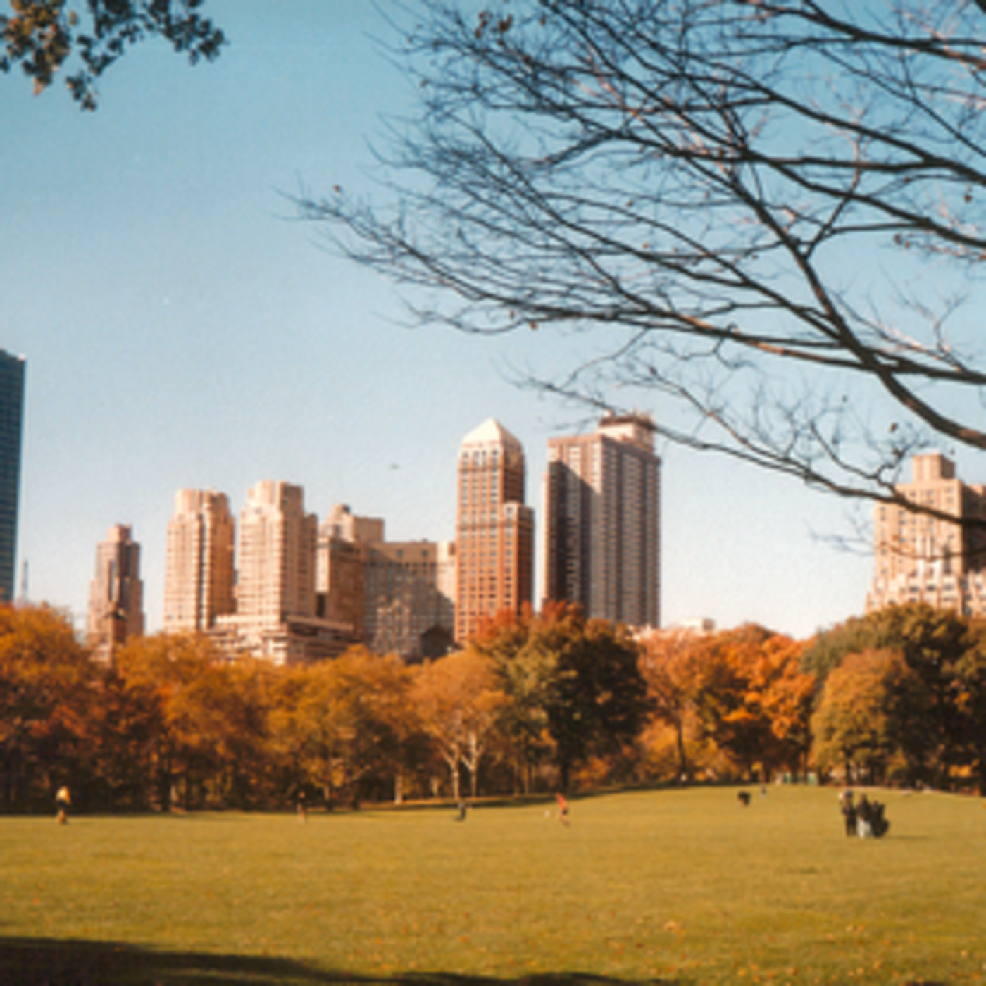 open air traviata in central park
