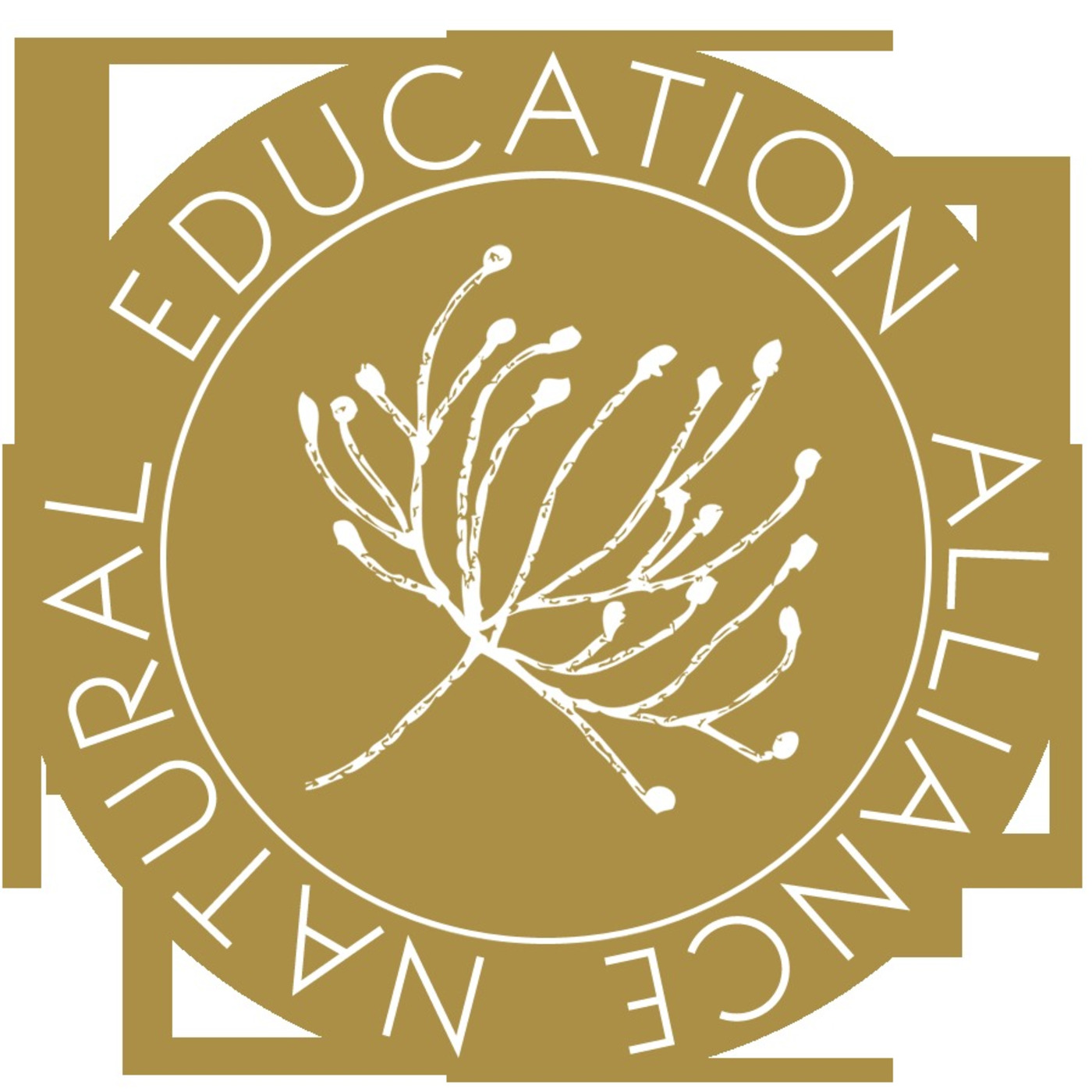 Natural Education Alliance