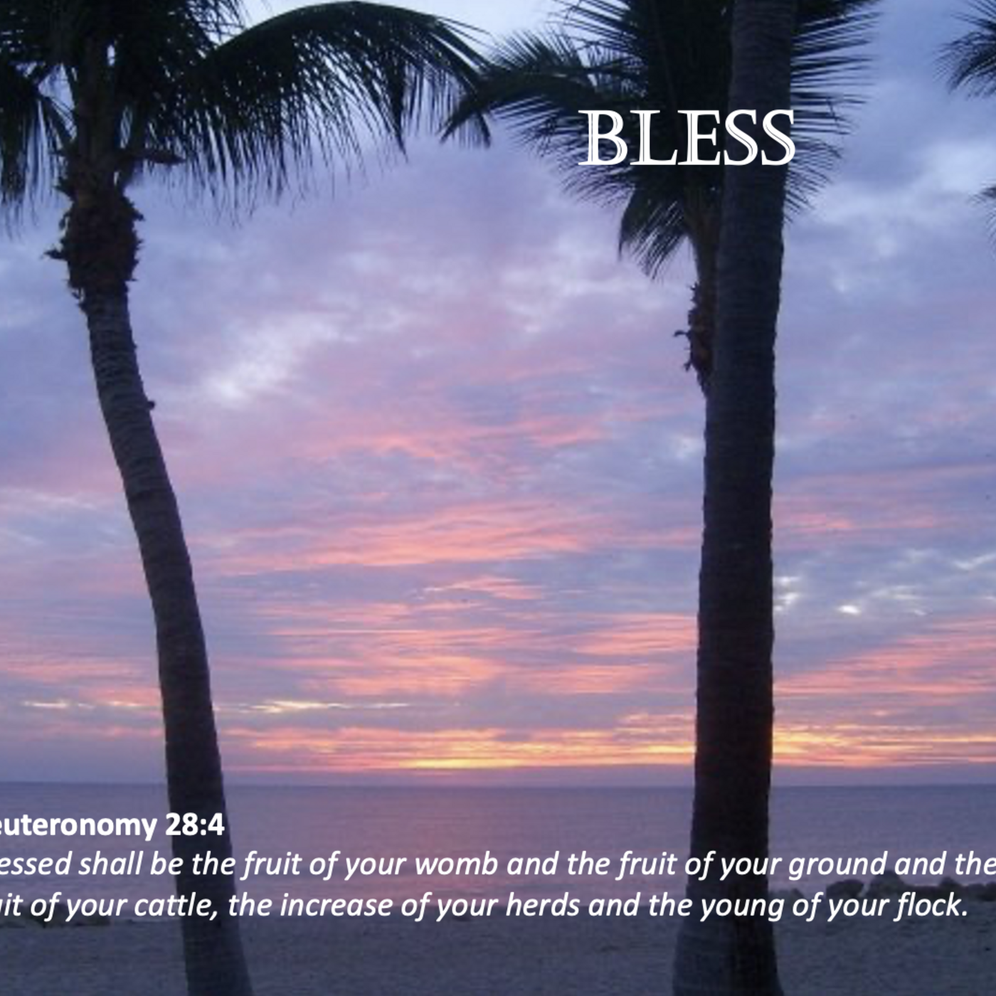 Episode 21: Promise #21 - Bless