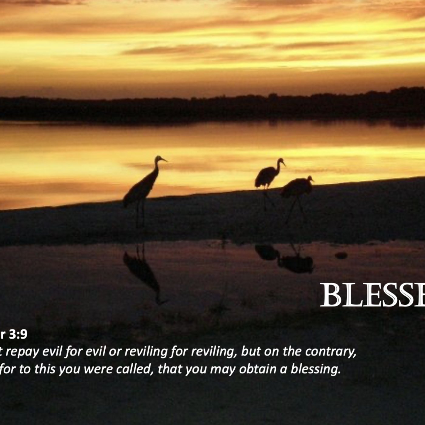 Episode 23: Promise #23 - Bless