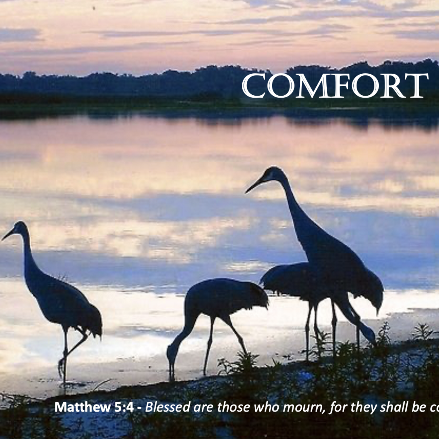 Episode 30: Promise #30 - Comfort