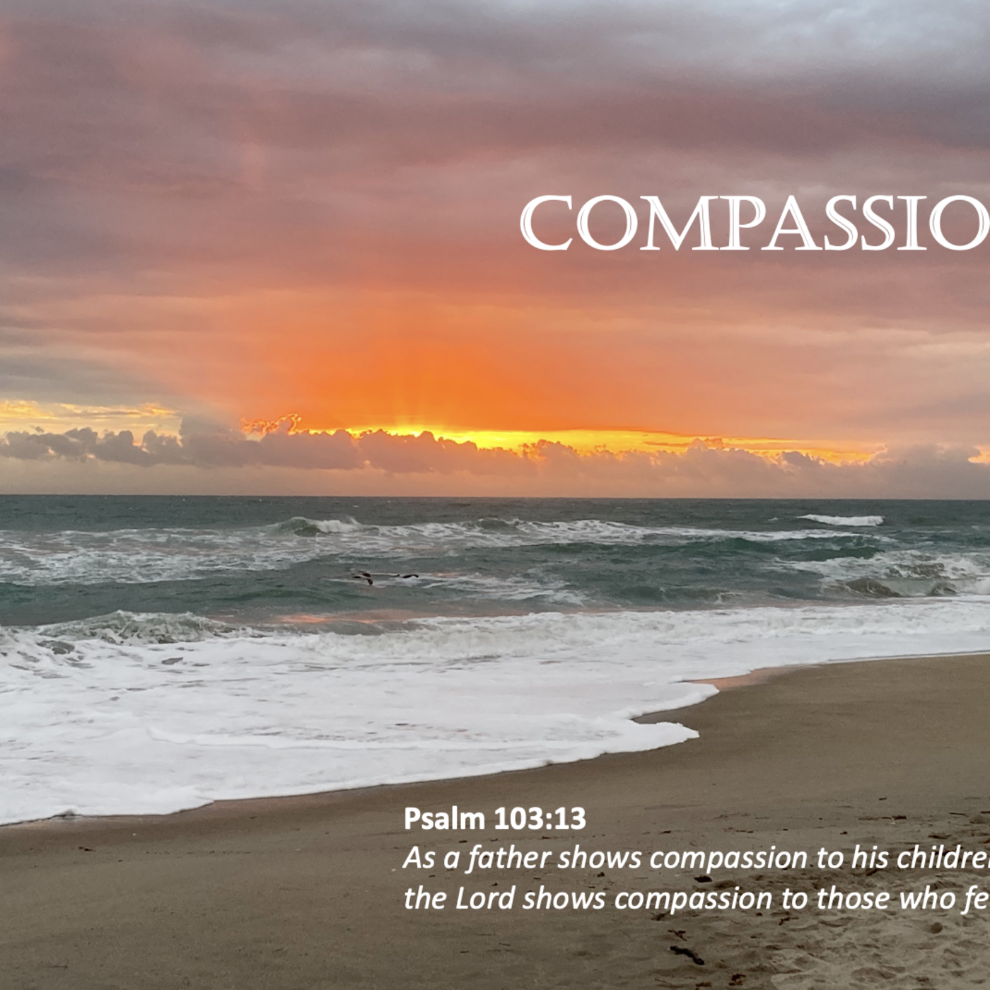 Episode 31: Promise #31 - Compassion