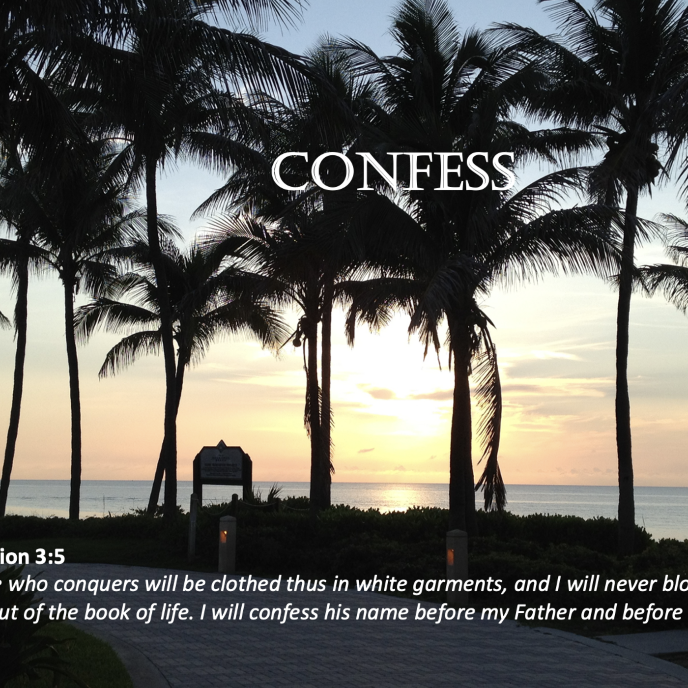 Episode 33: Promise #33 - Confess