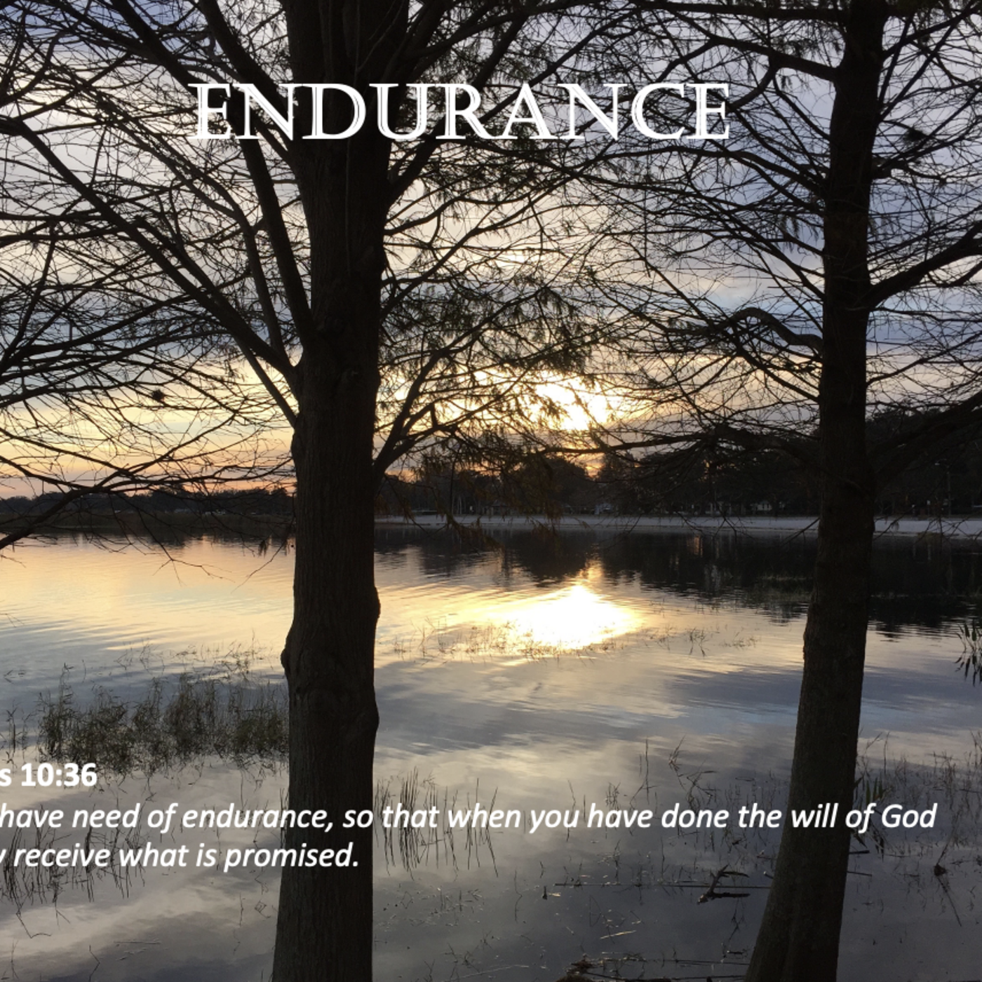 Episode 43: Promise #43 - Endurance