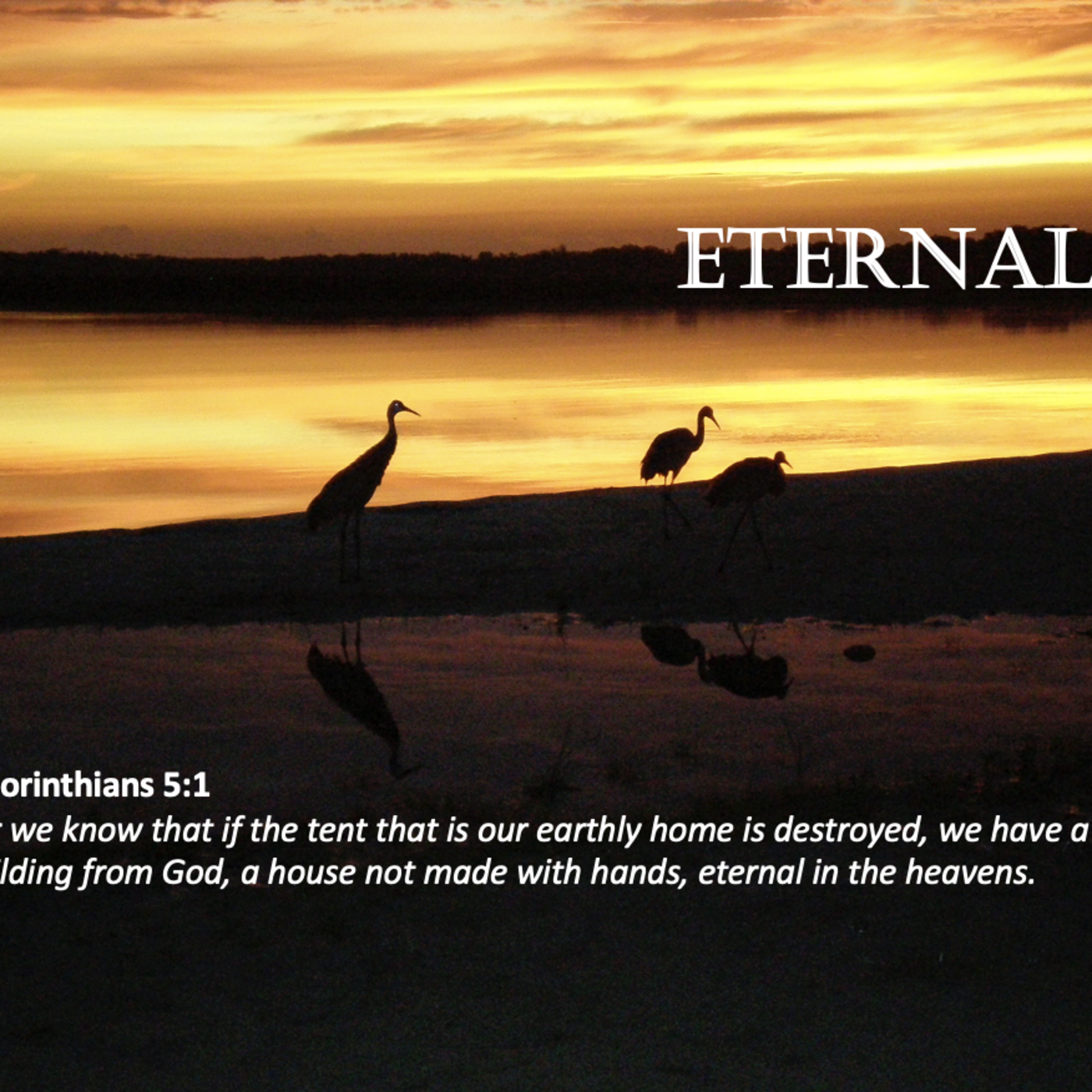 Episode 48: Promise #48 - Eternal