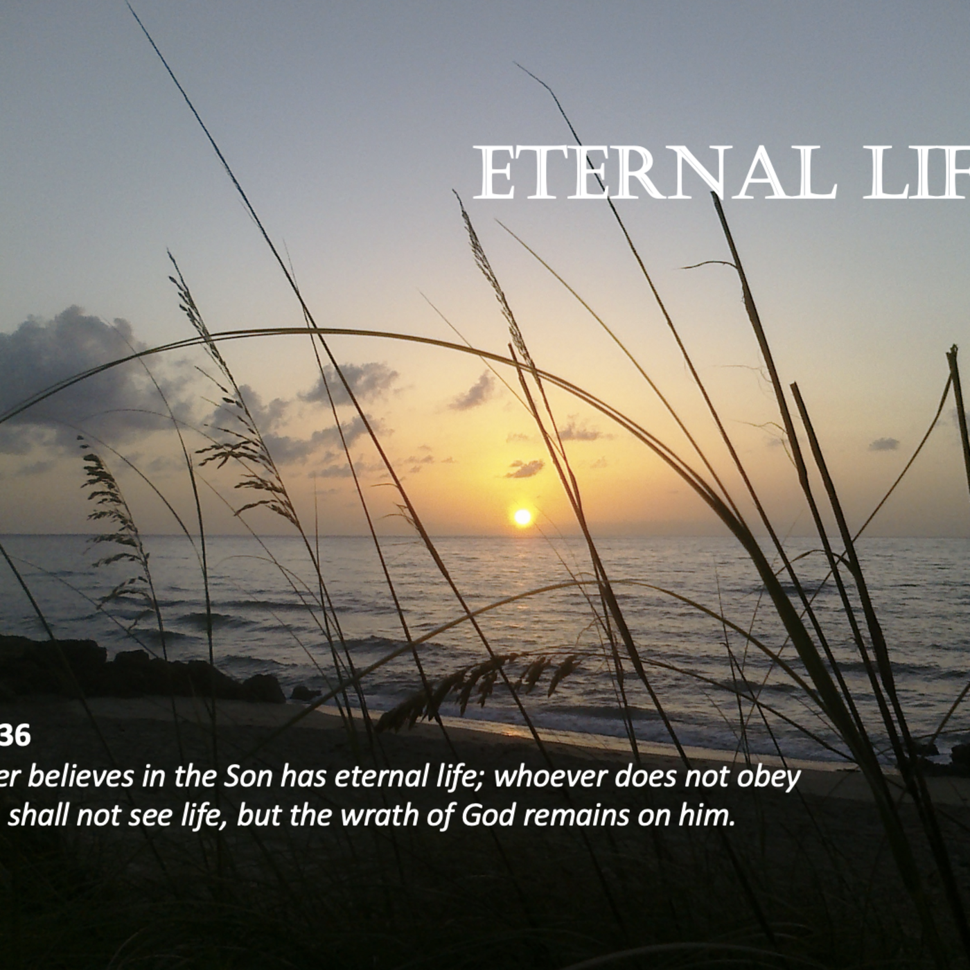 Episode 51: Promise #51 - Eternal Life