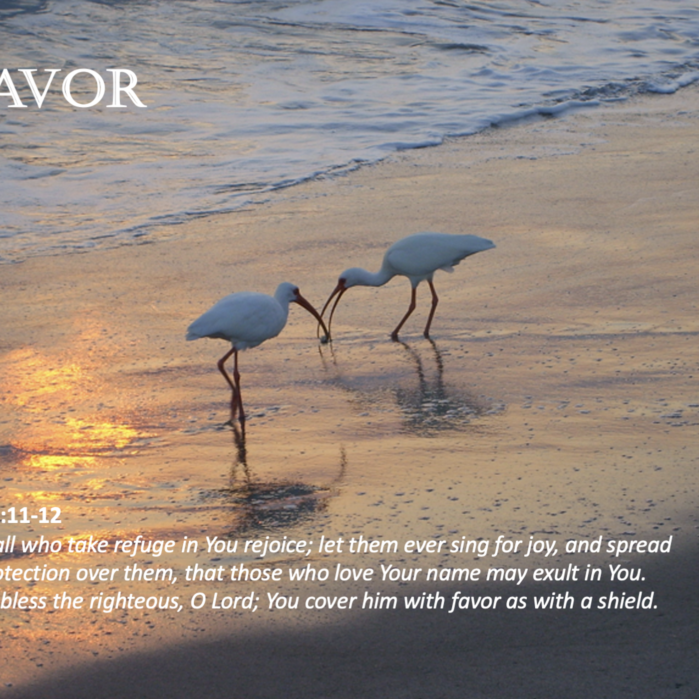 Episode 58: Promise #58 - Favor