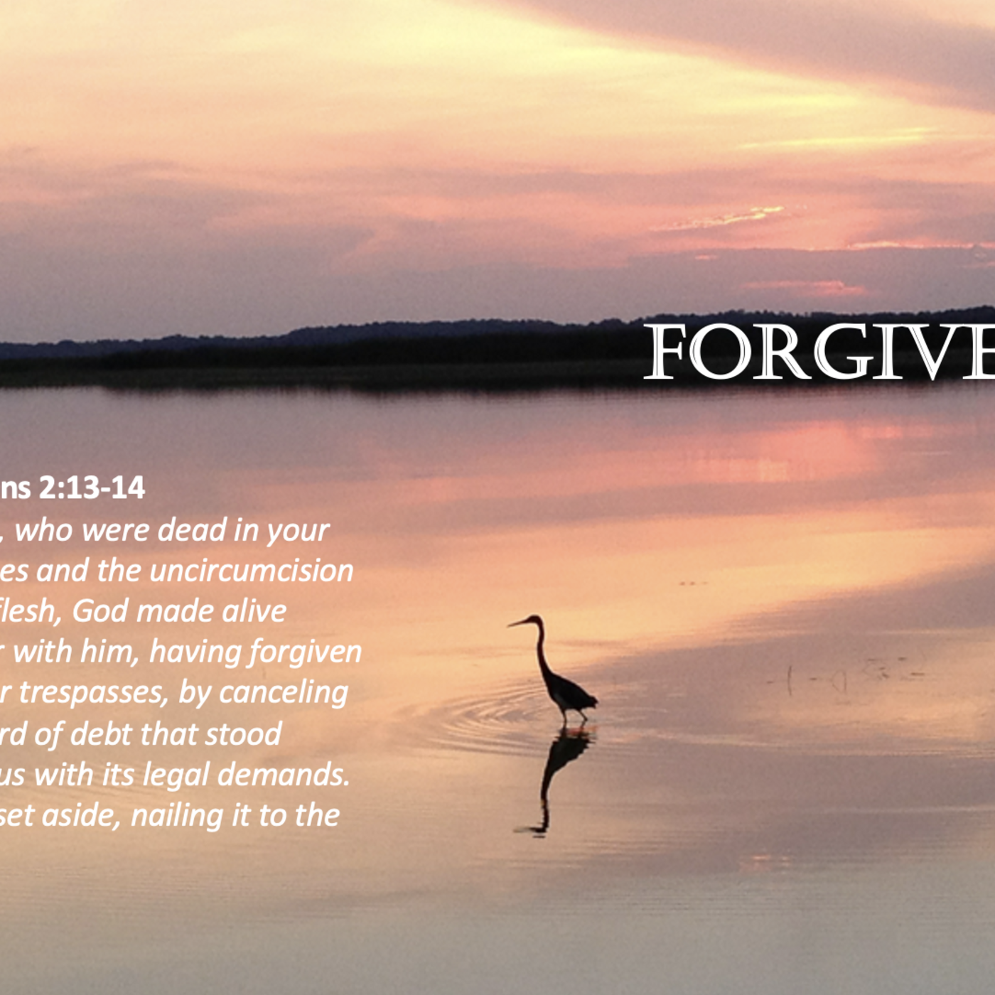 Episode 65: Promise #65 - Forgiven