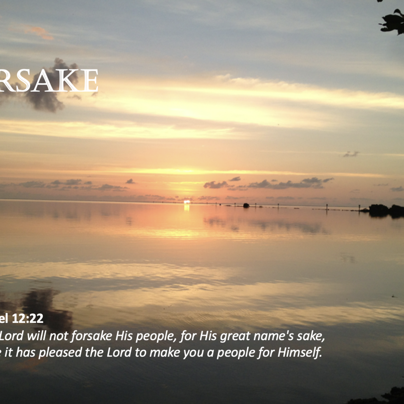 Episode 67: Promise #67 - Forsake