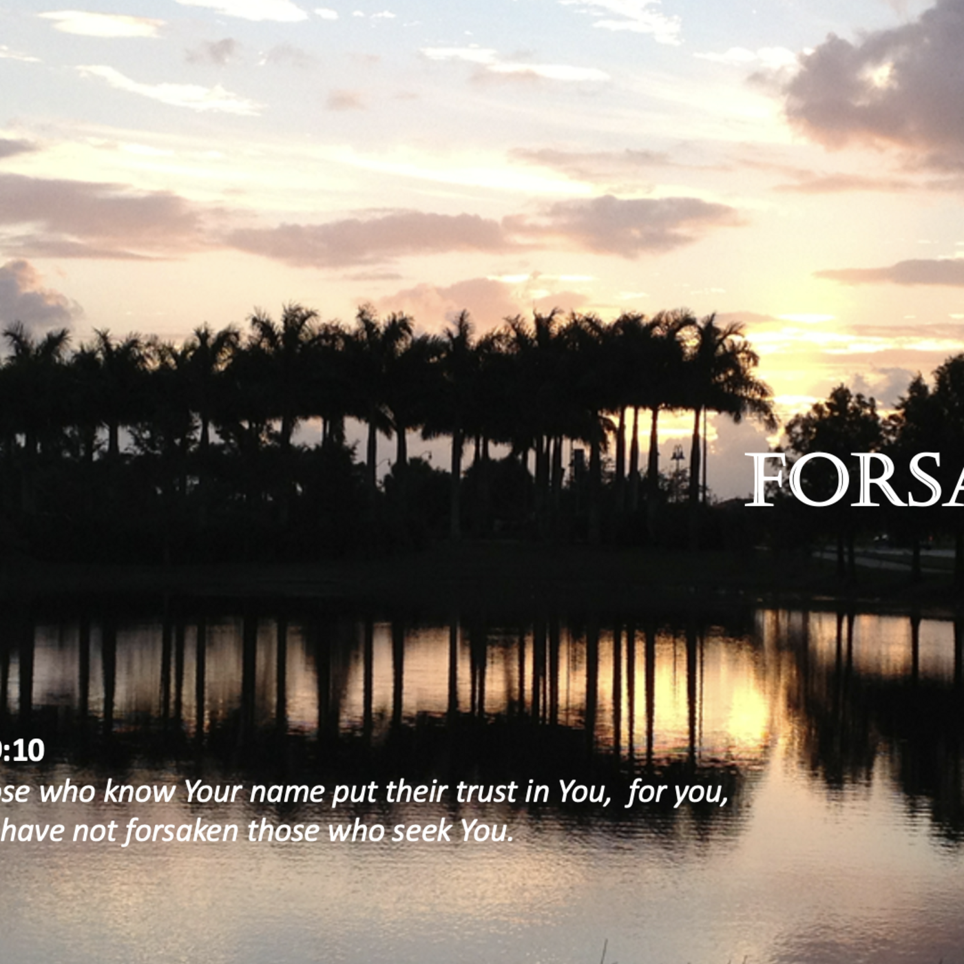 Episode 68: Promise #68 - Forsake