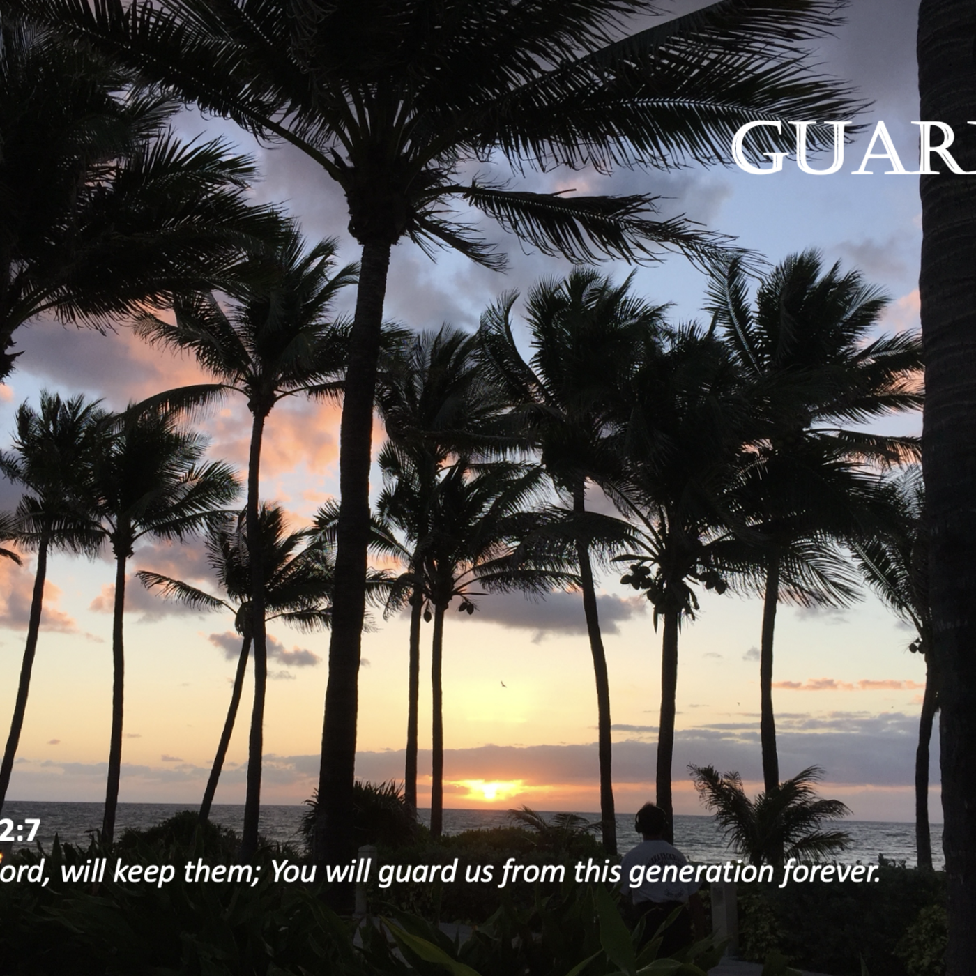 Episode 79: Promise #79 - Guard