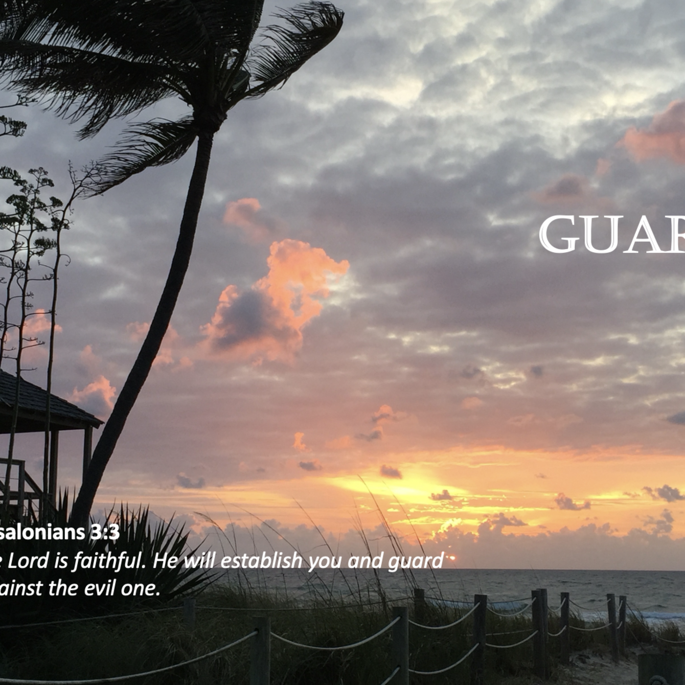 Episode 81: Promise #81 - Guard