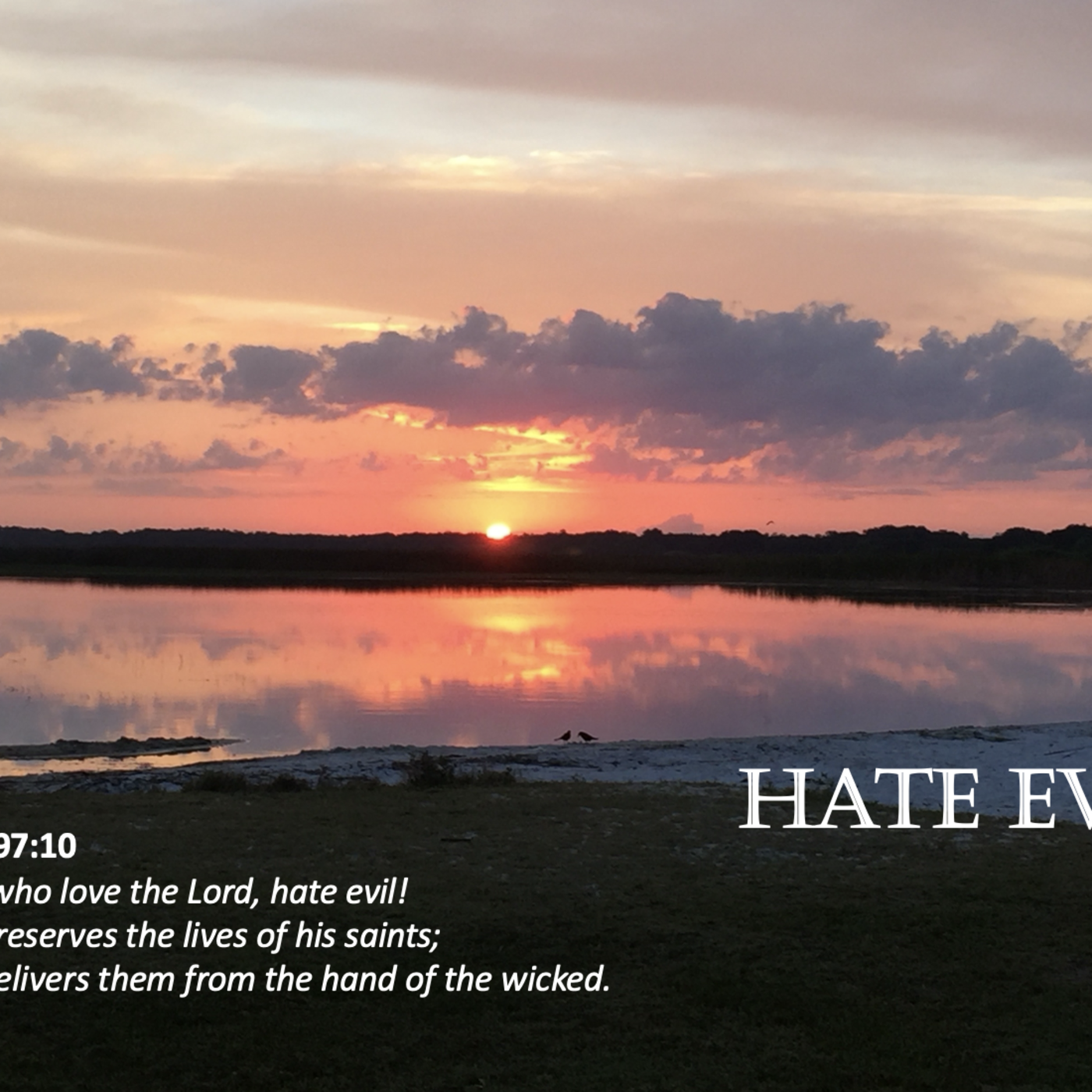 Episode 82: Promise #82 - Hate evil