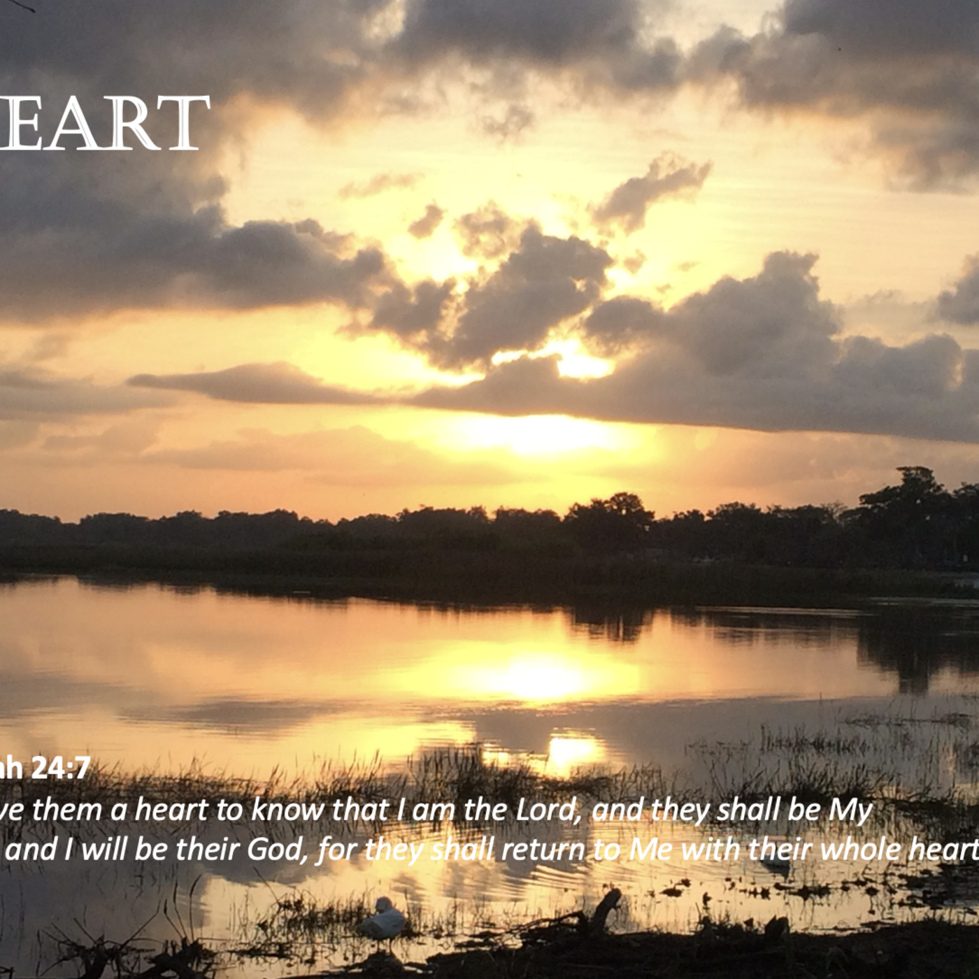 Episode 87: Promise #87 - Heart