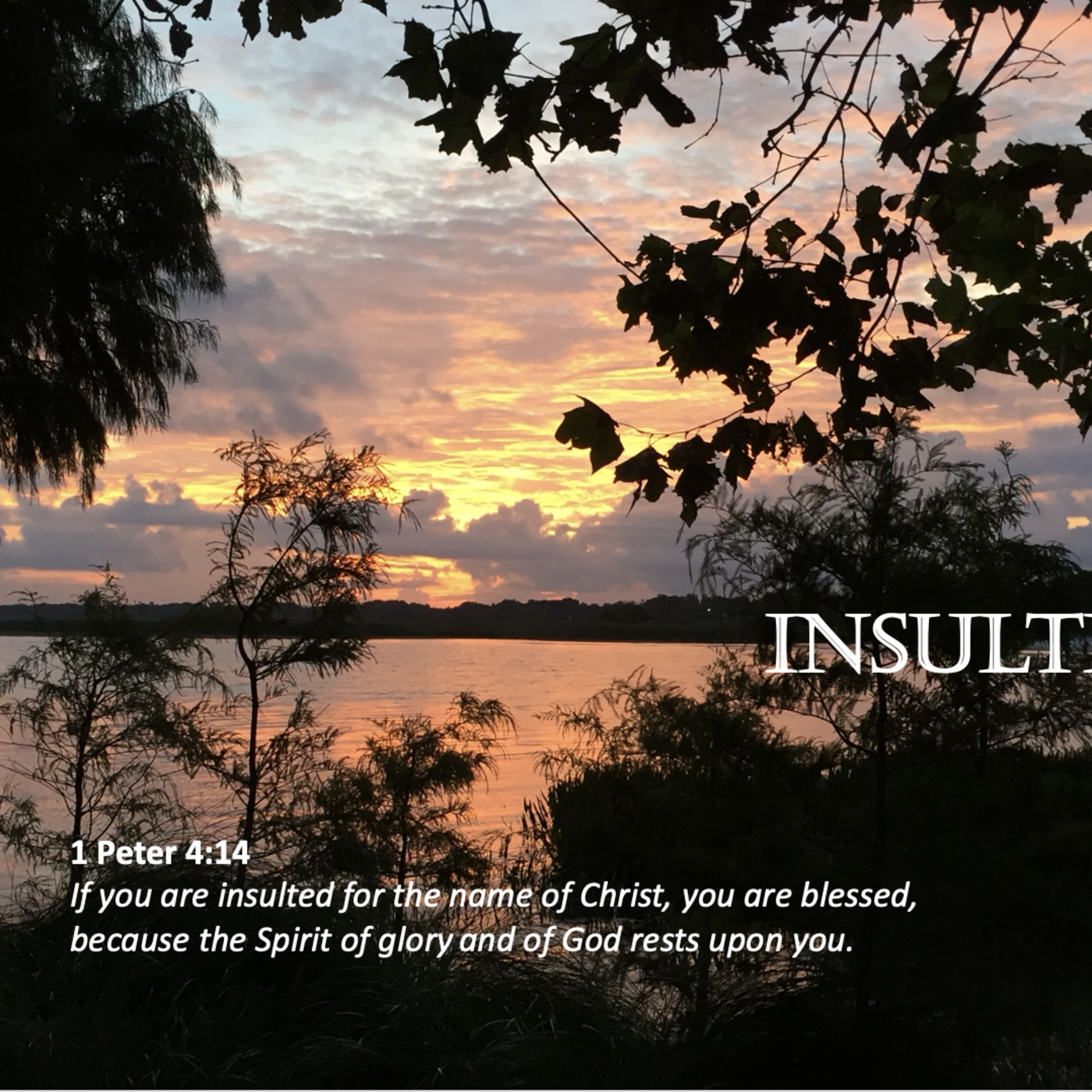 Episode 100: Promise #100 - Insulted