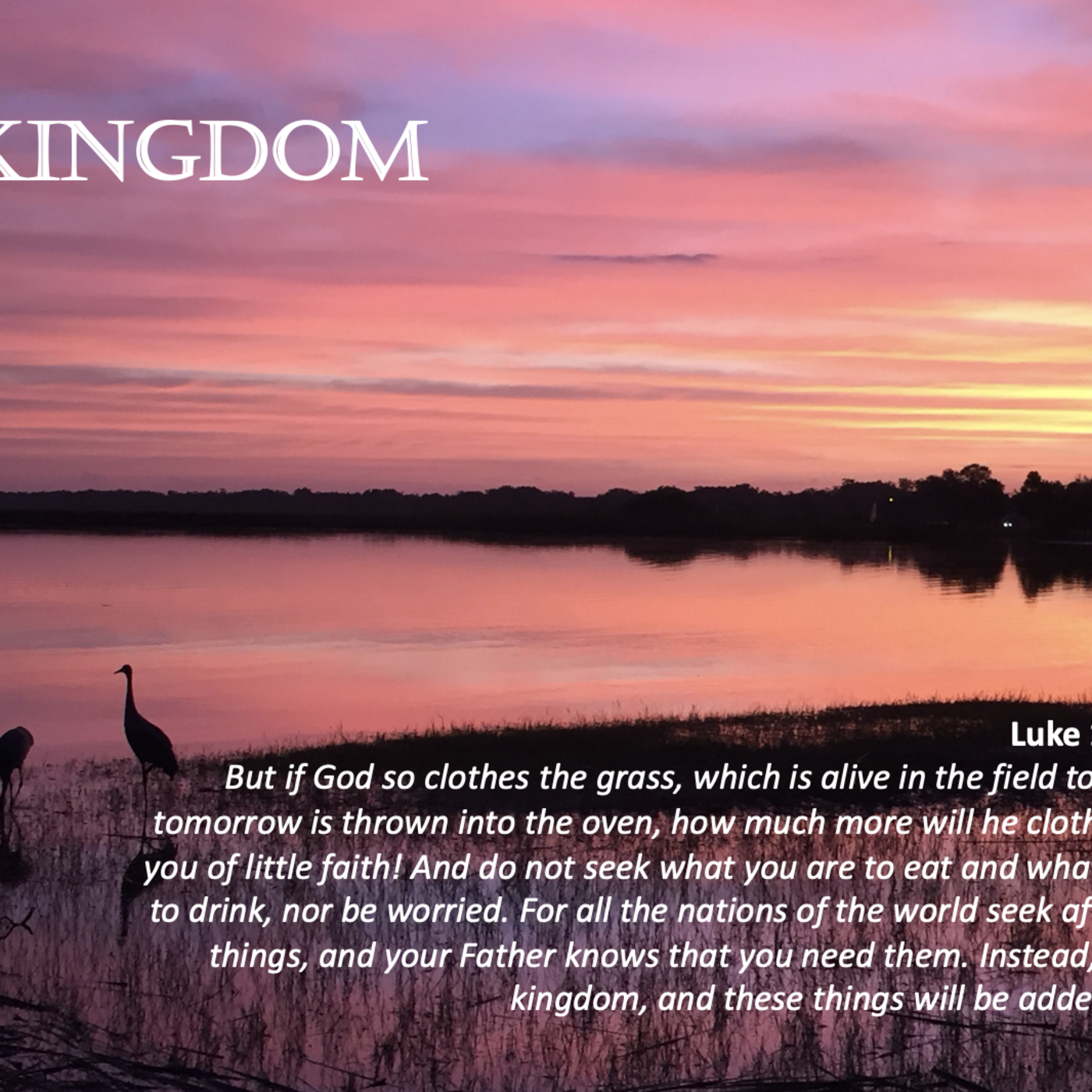 Episode 103: Promise #103 - Kingdom