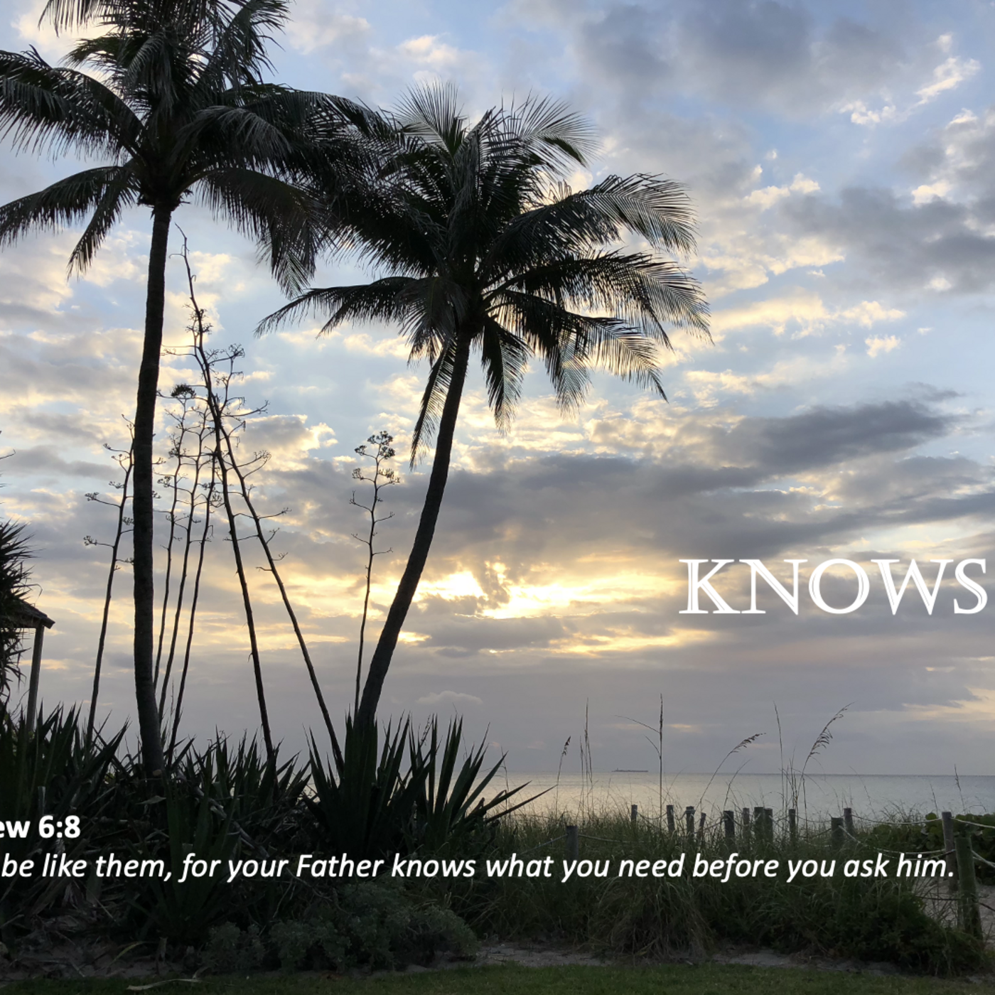 Episode 107: Promise # 107 - Knows