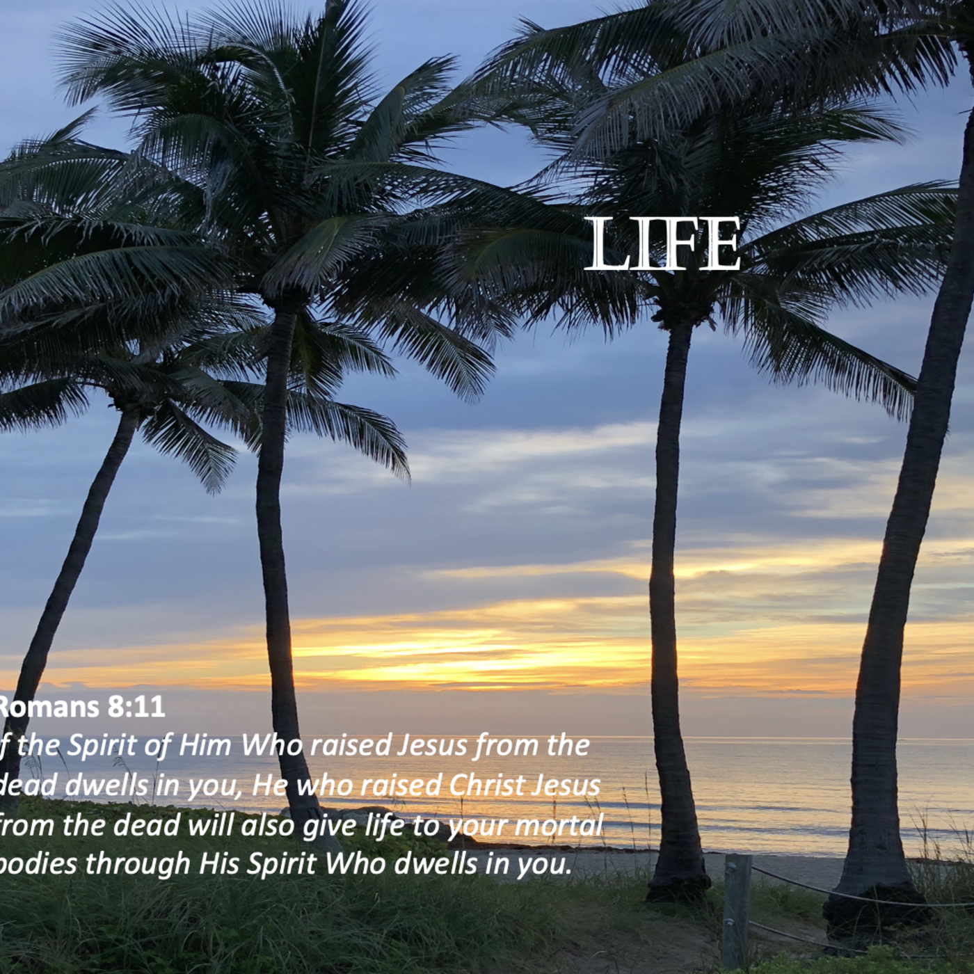 Episode 108: Promise #108 - Life