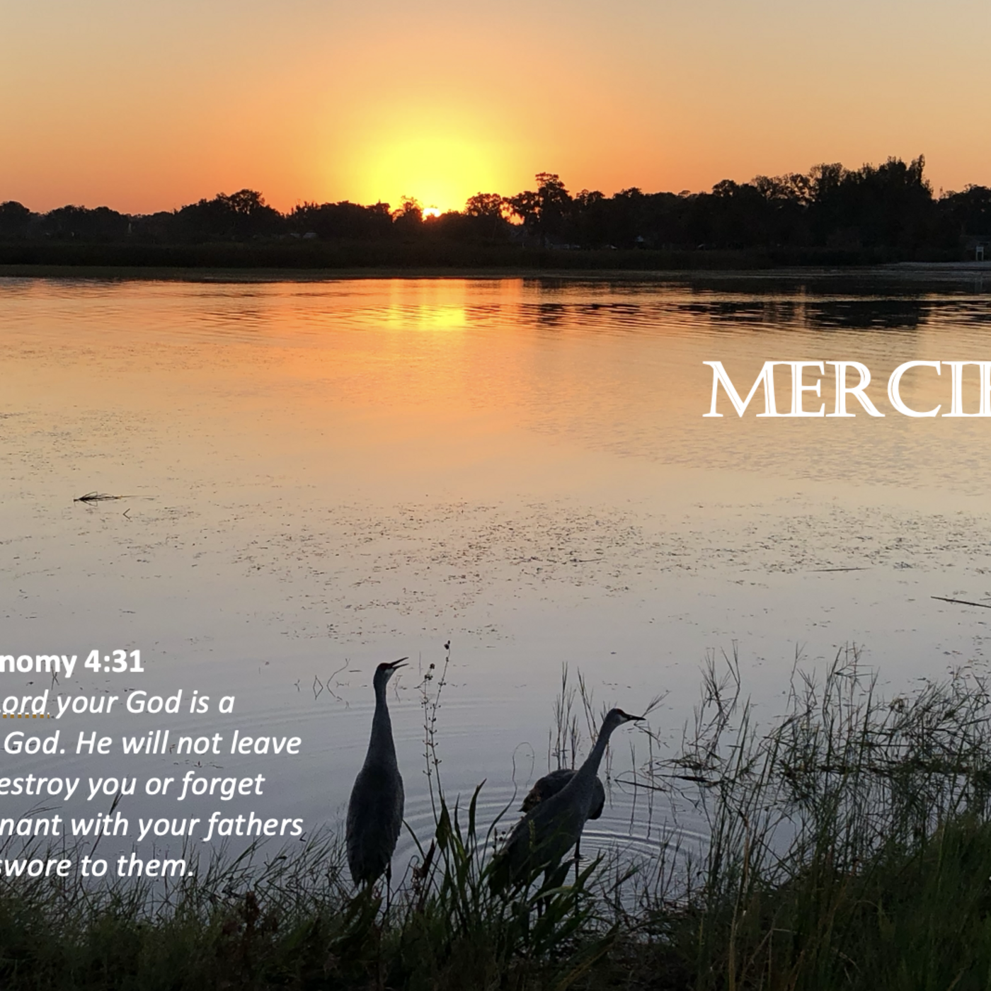 Episode 115: Promise #115 - Merciful