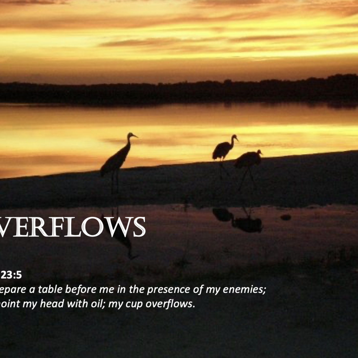 Episode 128: Promise #128 - Overflows