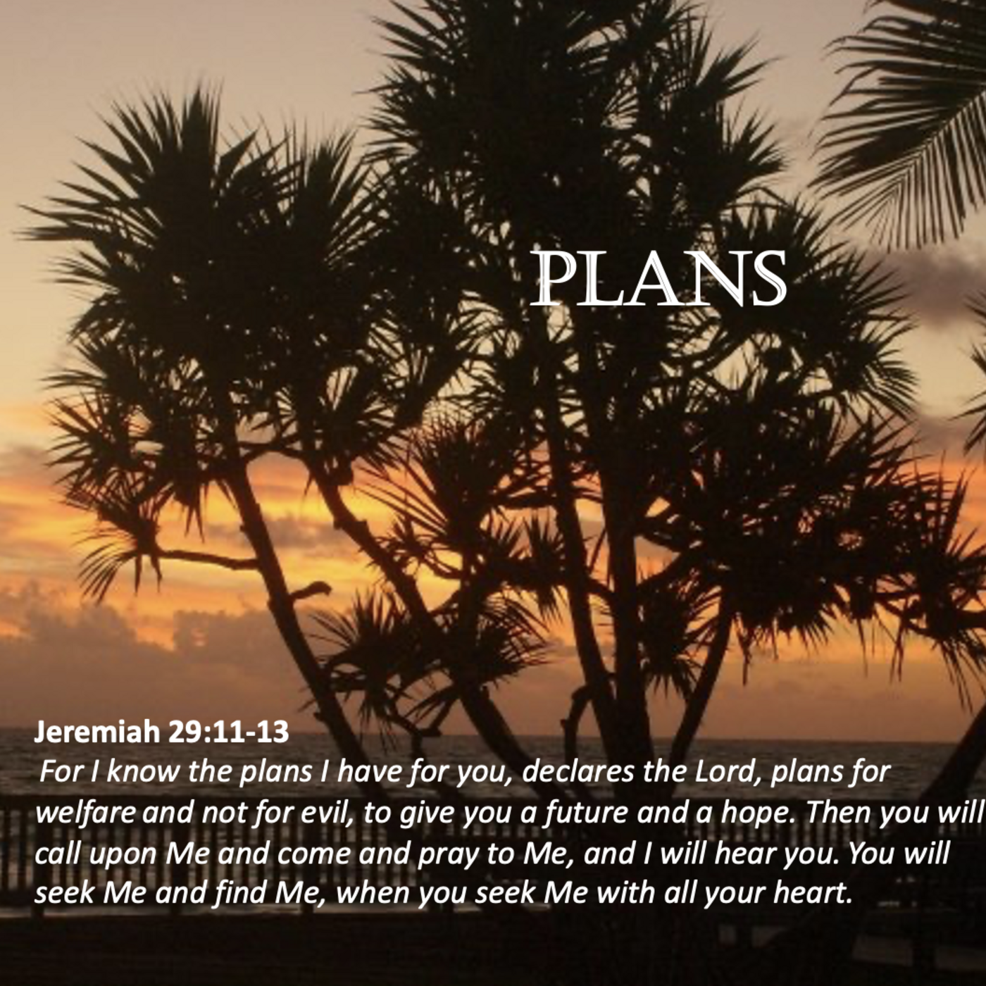 Episode 133: Promise #133 - Plans