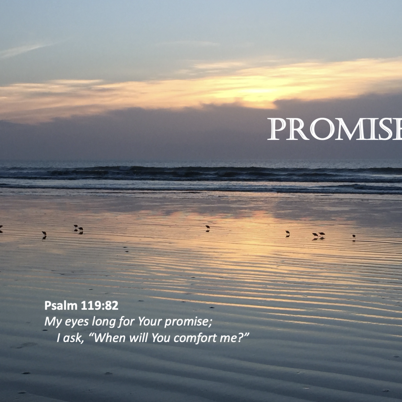 Episode 141: Promise #141 - Promise
