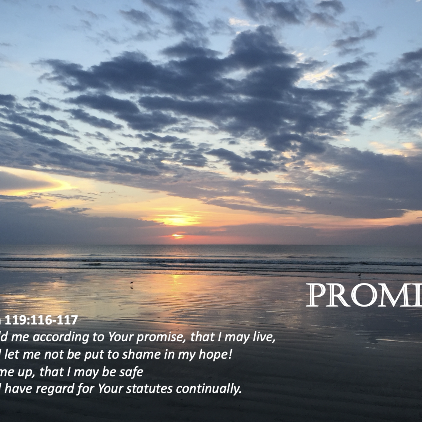Episode 142: Promise #142 - Promise