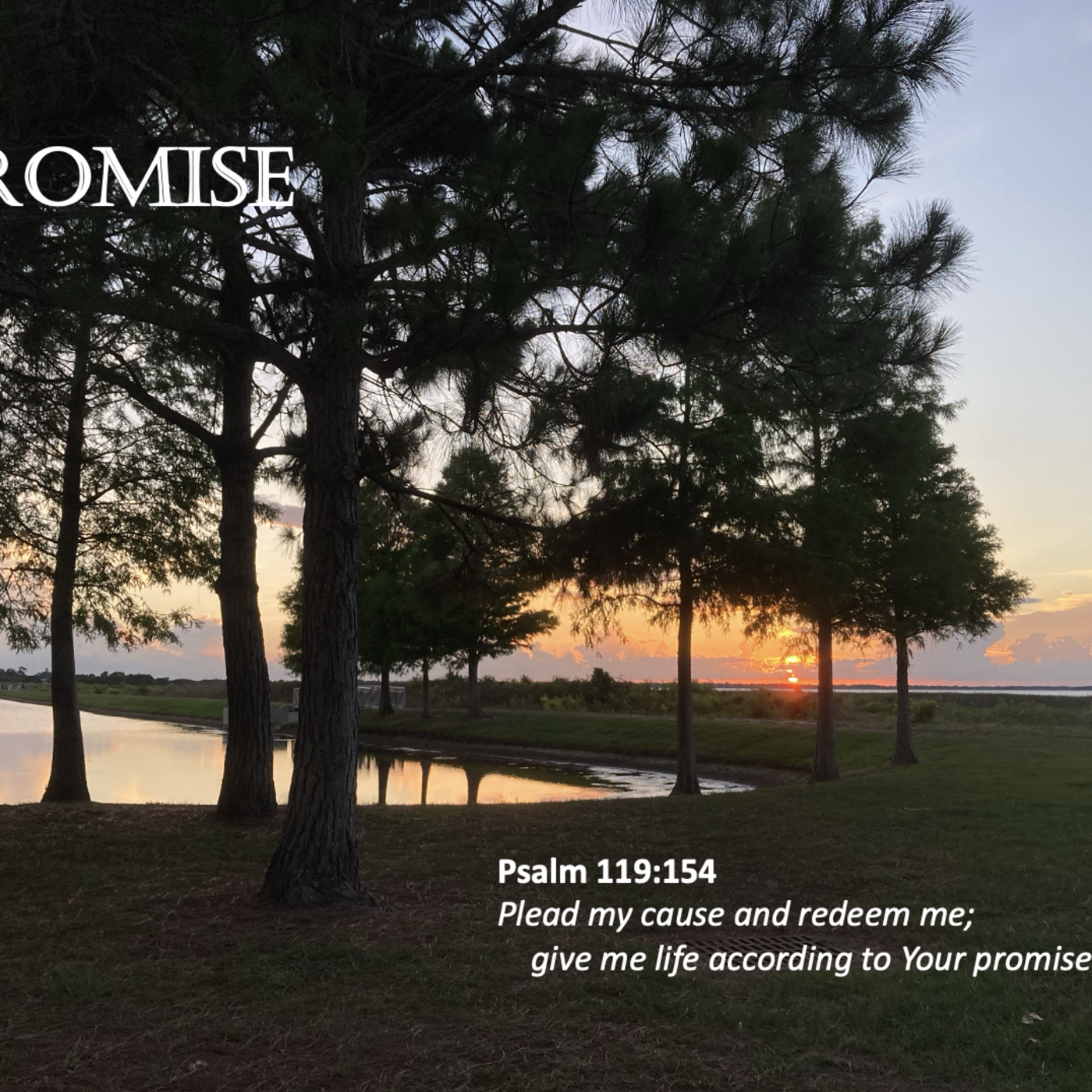 Episode 144: Promise #144 - Promise