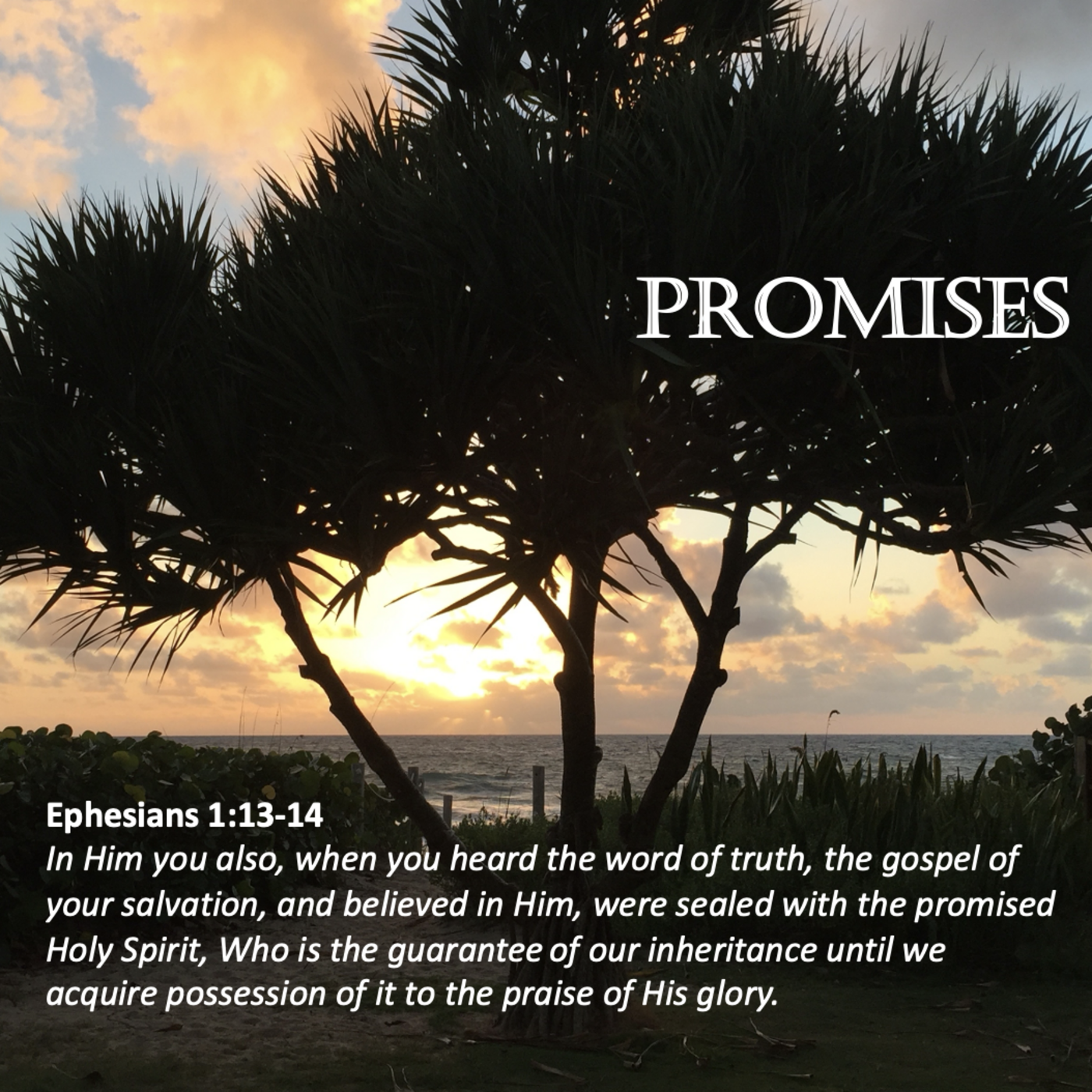 Episode 146: Promise #146 - Promises