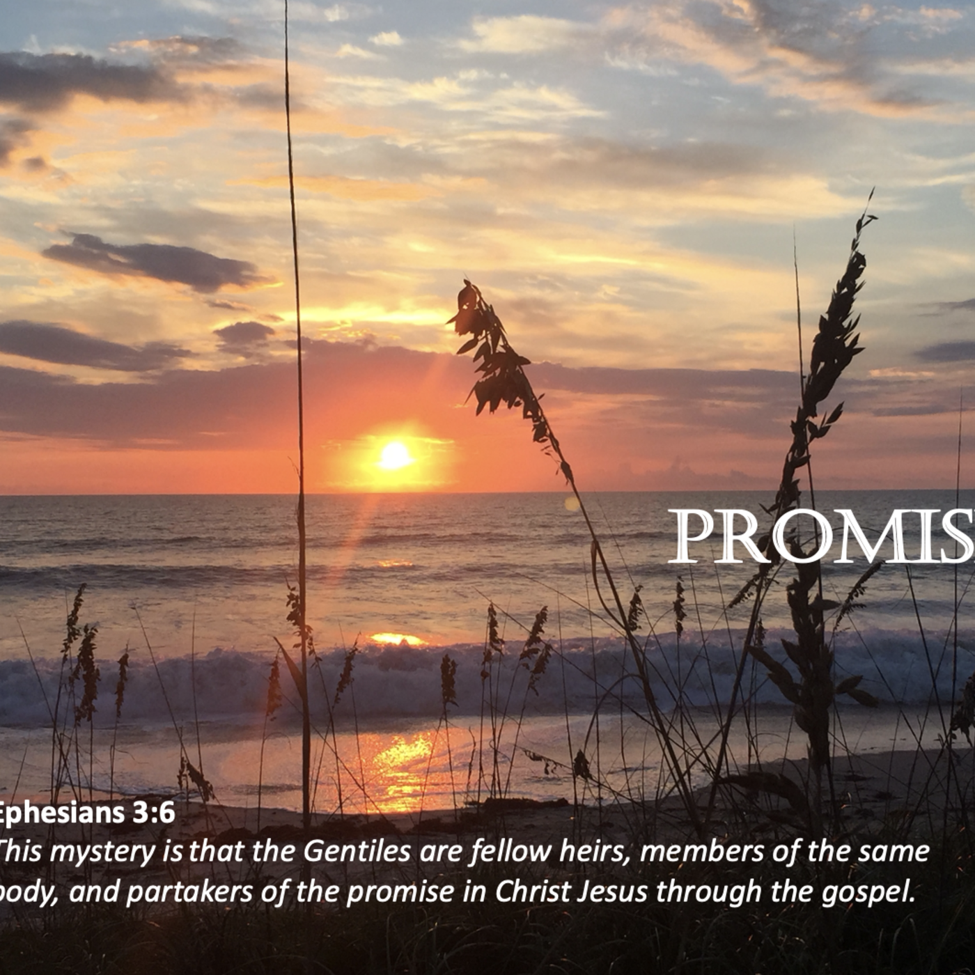 Episode 148: Promise #148 - Promises