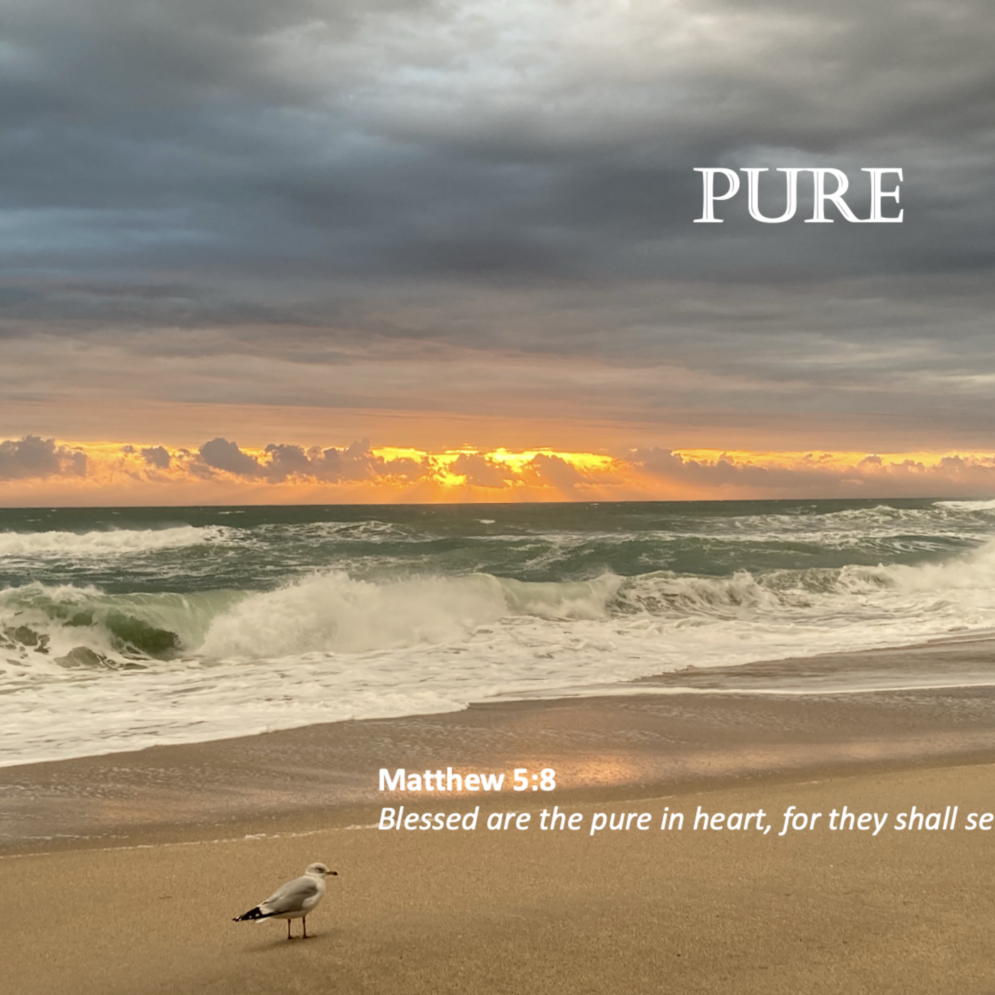 Episode 152: Promise #152 - Pure