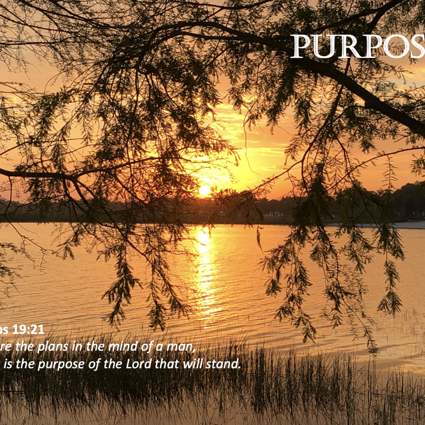 Episode 153: Promise #153 - Purpose