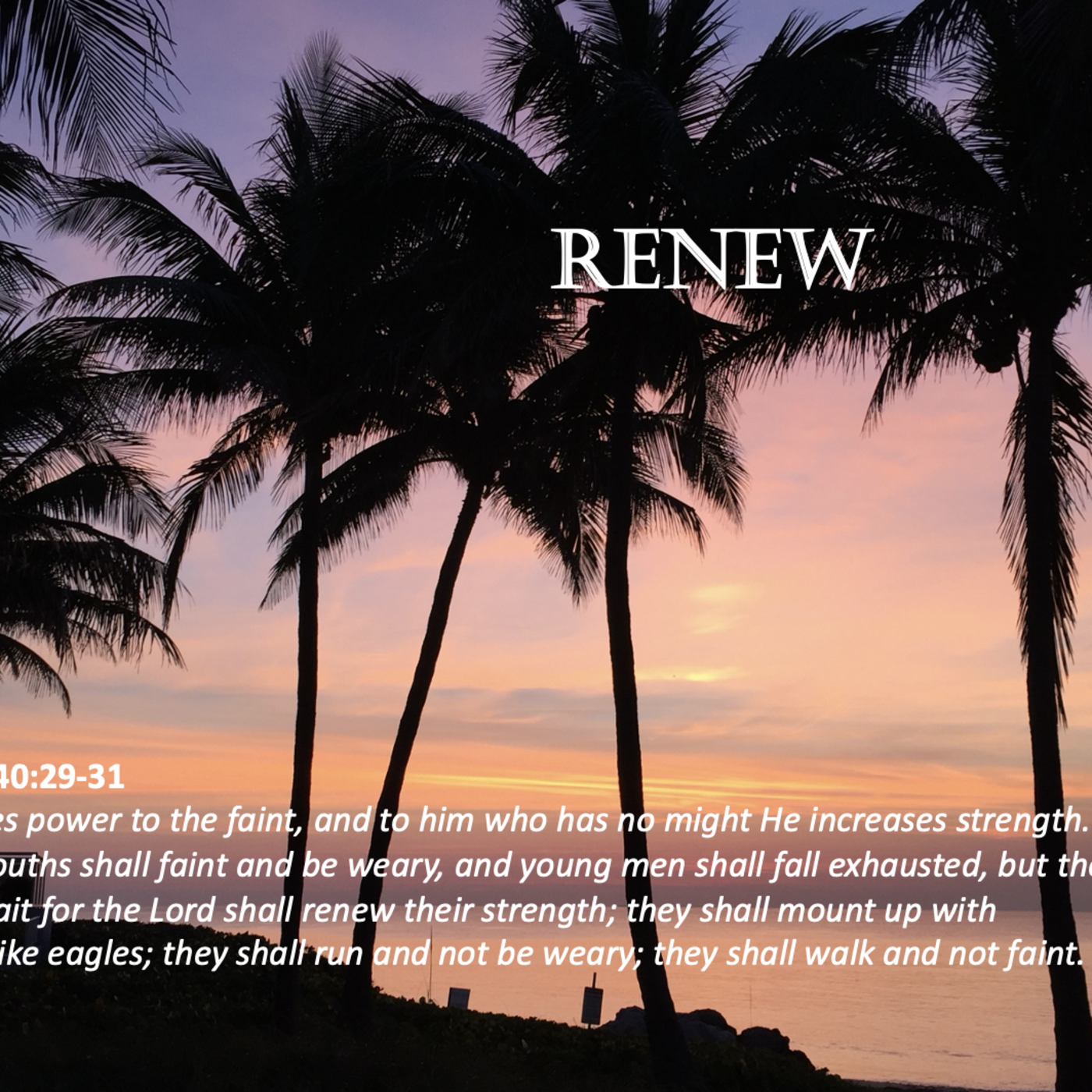 Episode 155: Promise #155 - Renew