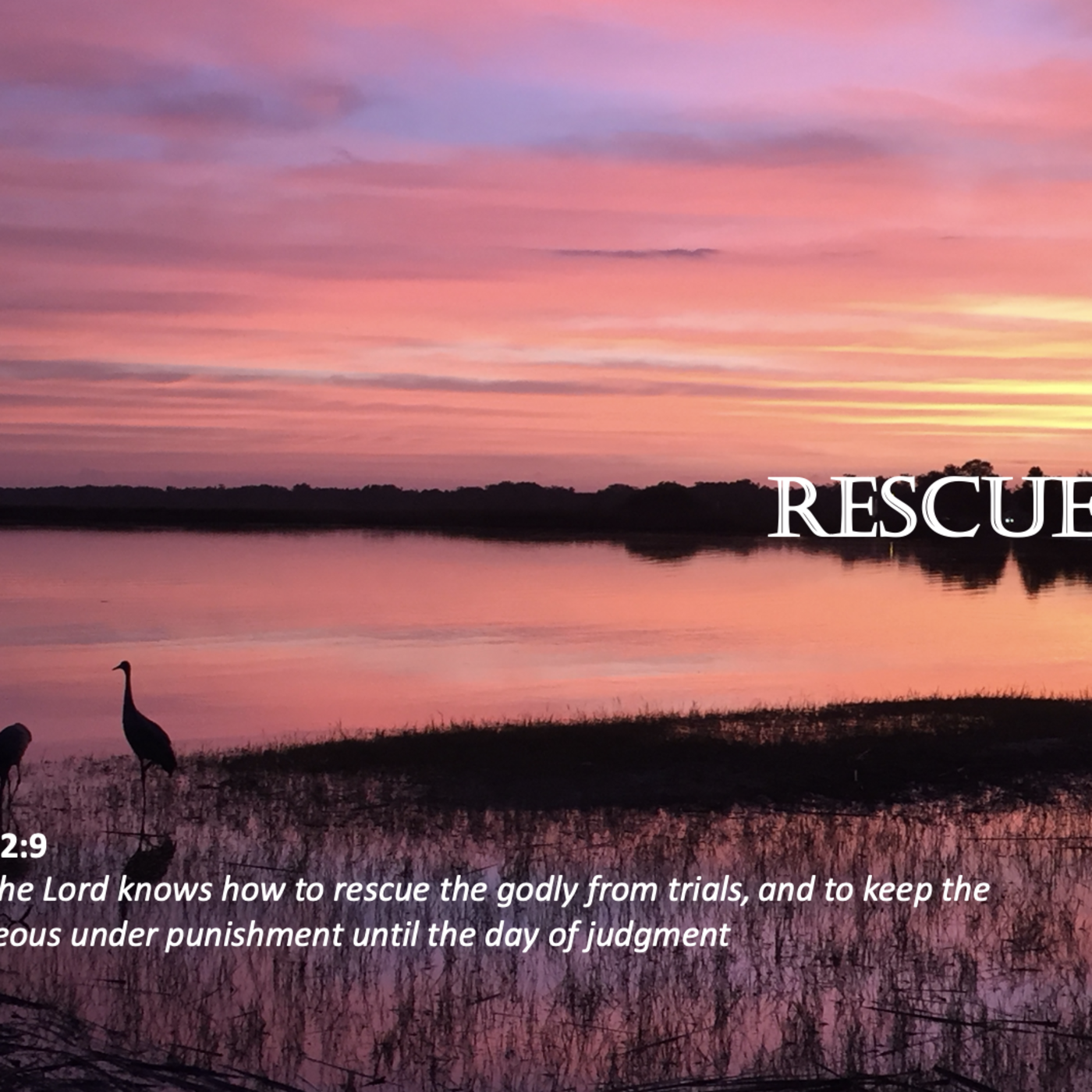 Episode 158: Promise #158 - Rescue