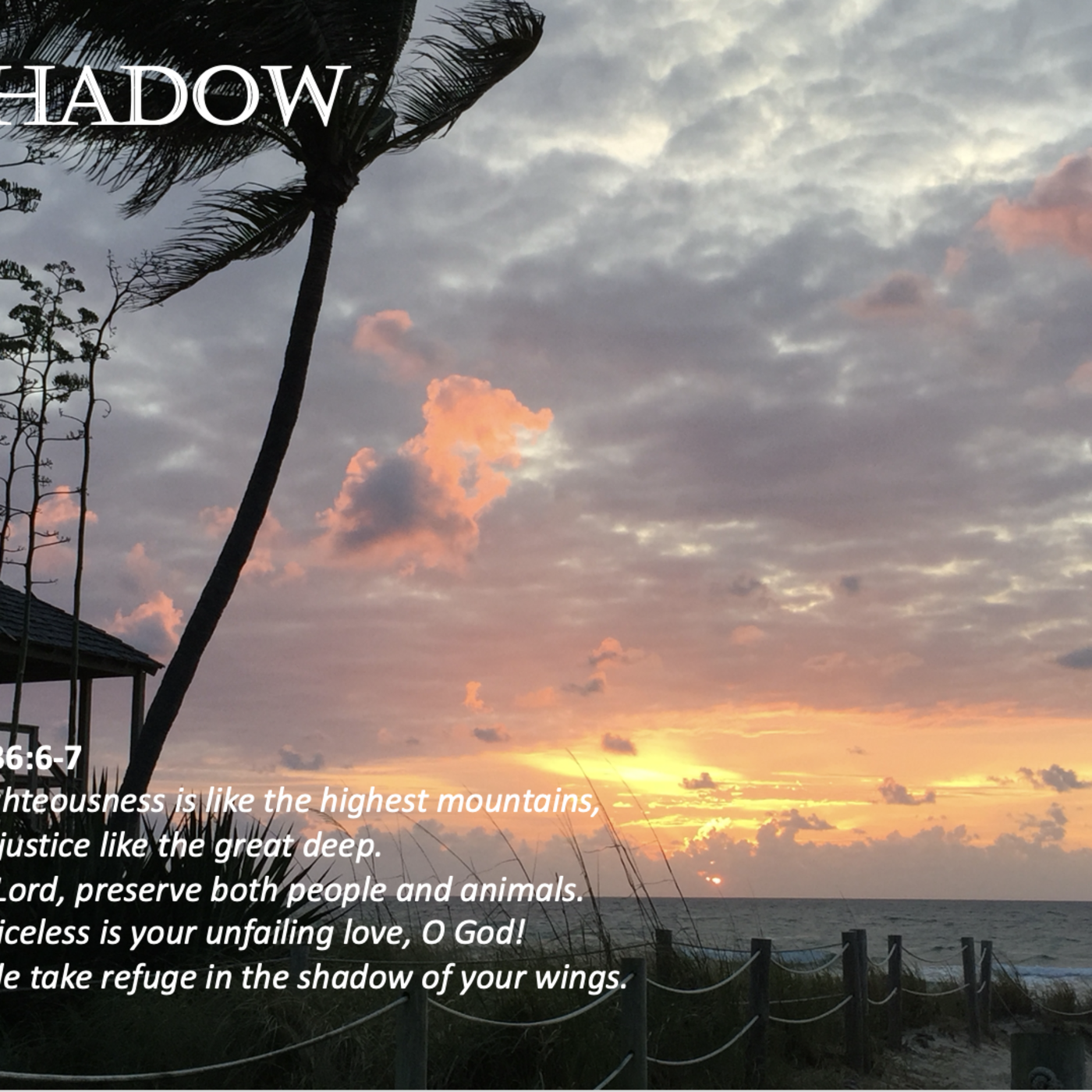 Episode 168: Promise #168 - Shadow