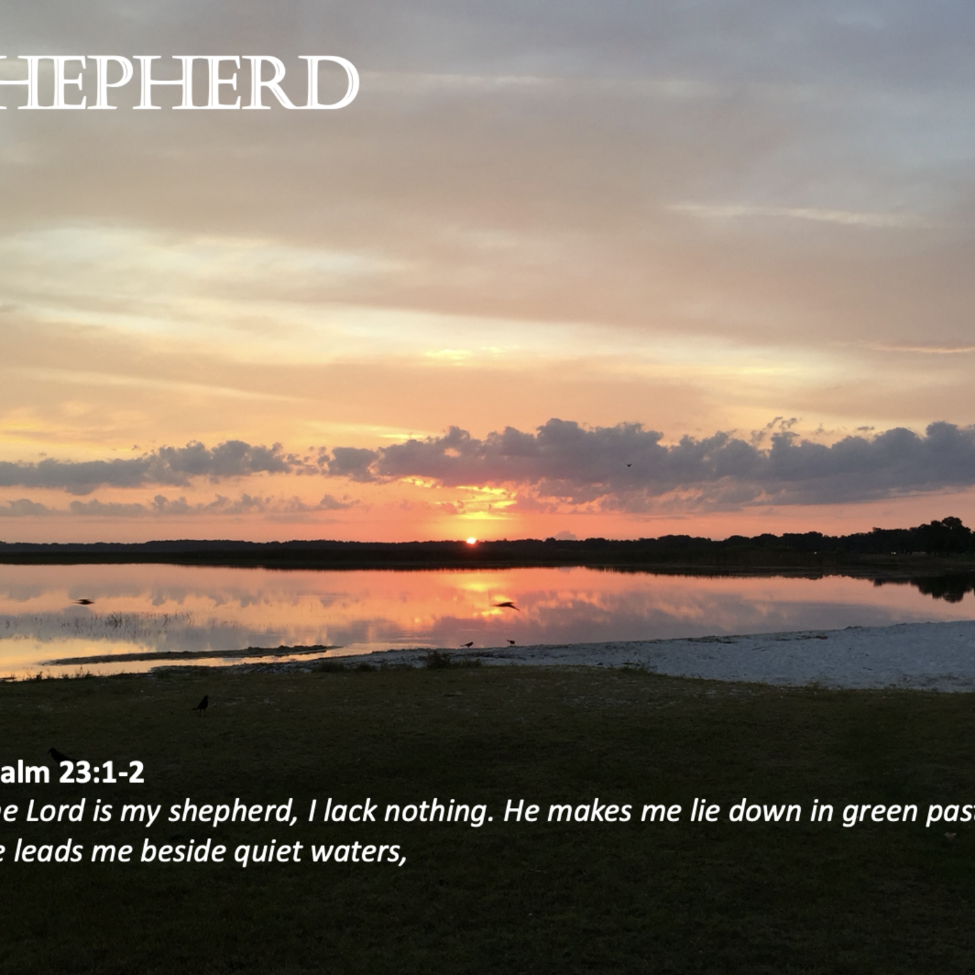 Episode 170: Promise #170 - Shepherd