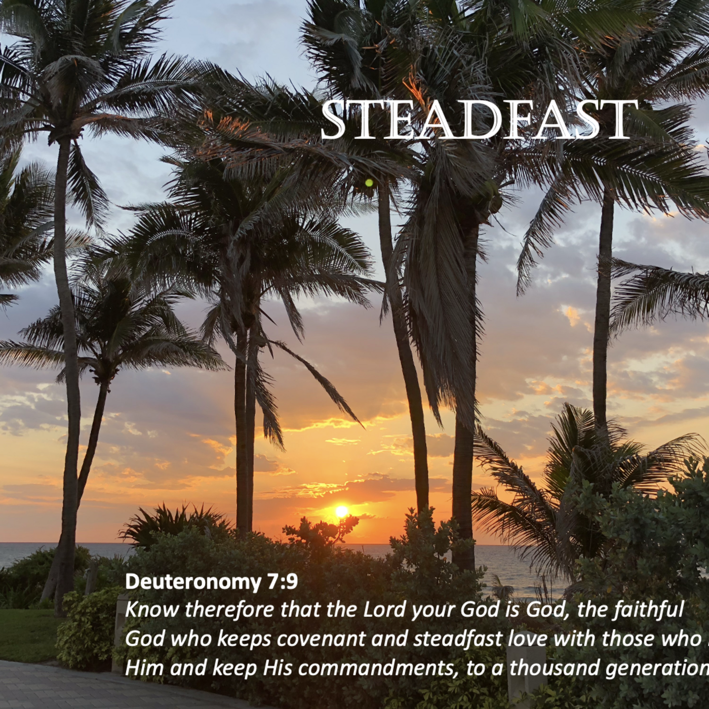 Episode 173: Promise #173 - Steadfast