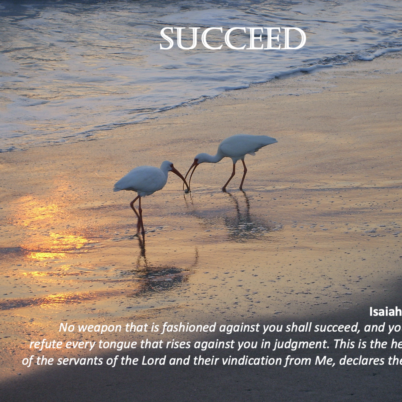 Episode 179: Promise #179 - Succeed